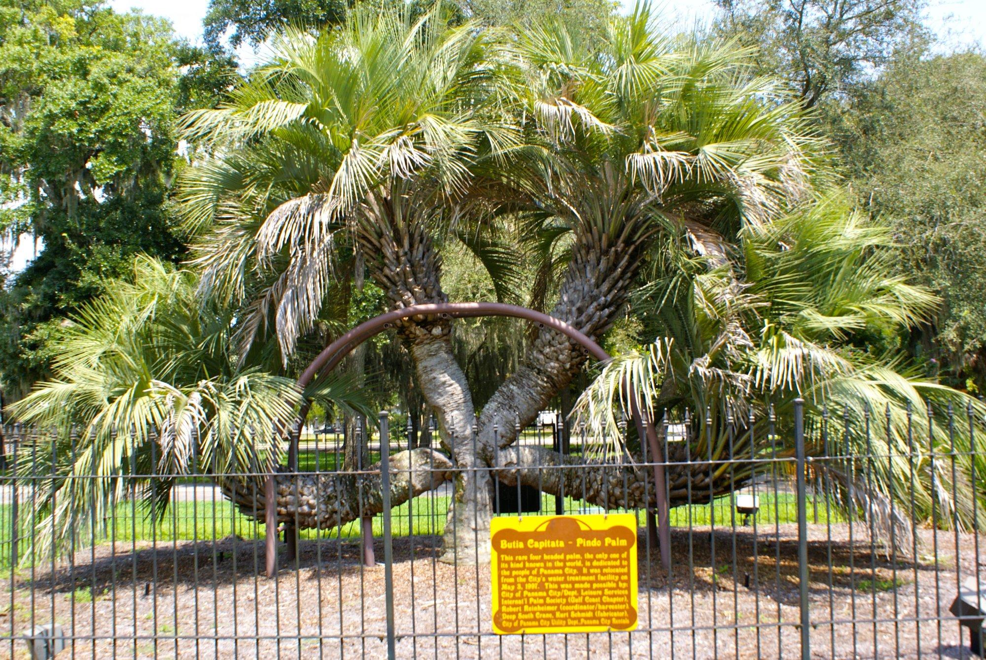 Oaks by the Bay Park