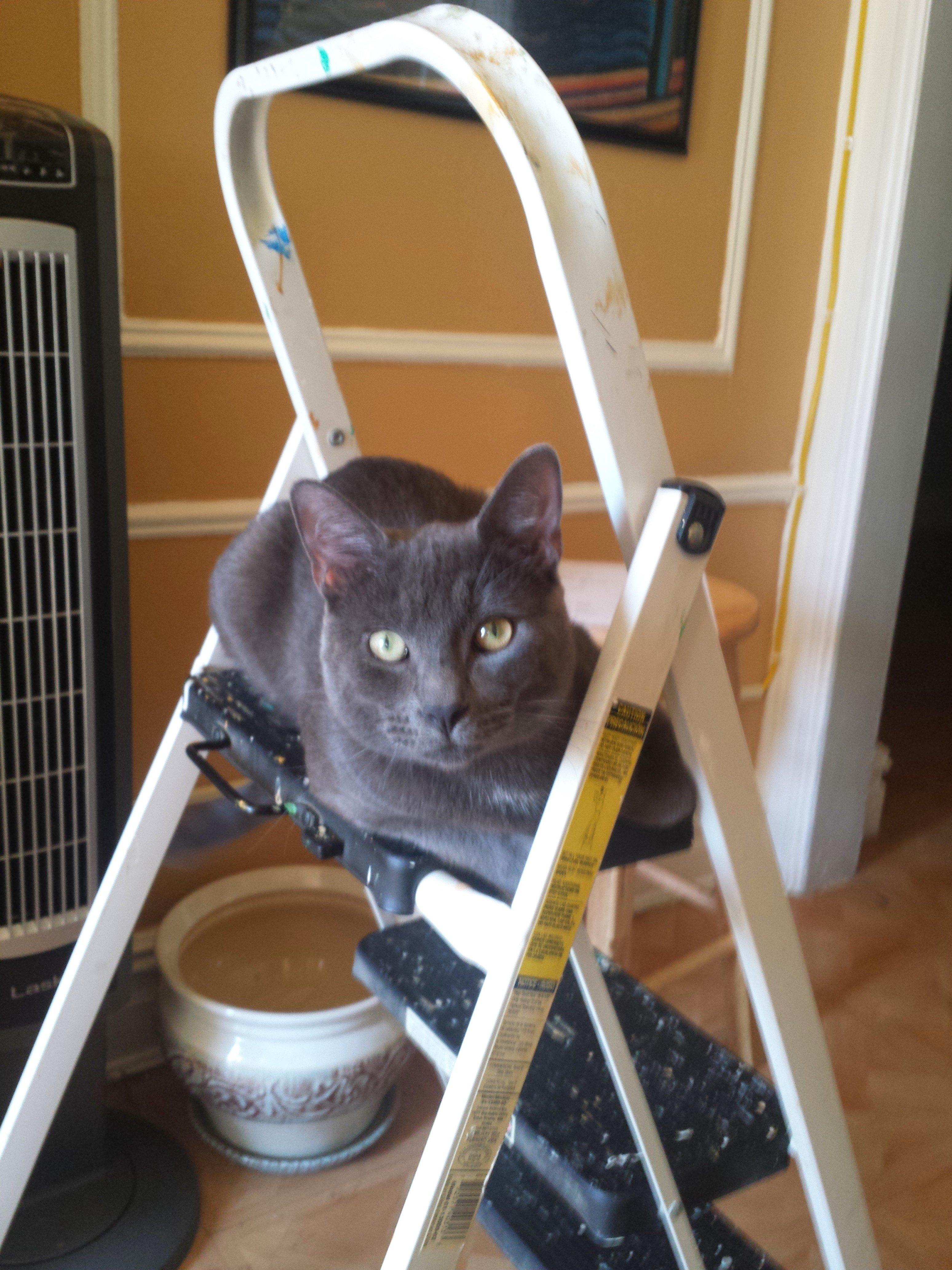 Hoboken Comedy Factory