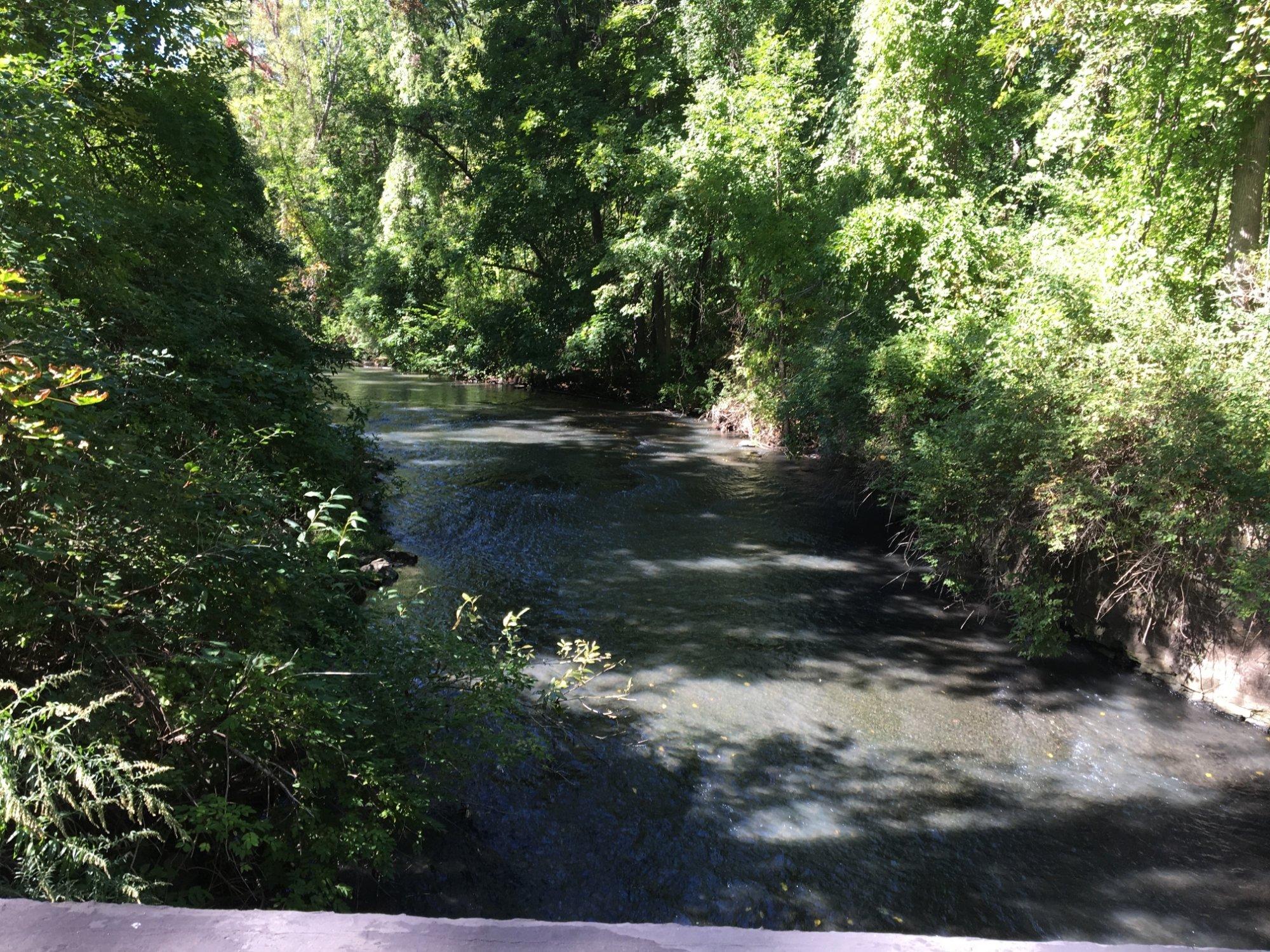 Corbett's Glen Nature Park