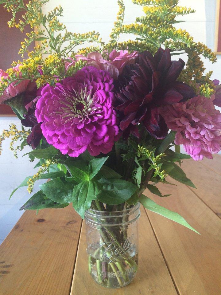 44 North Coffee - Deer Isle Café