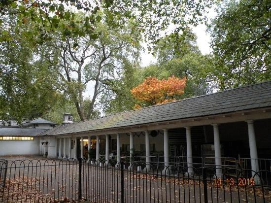 Pistachios in The Park