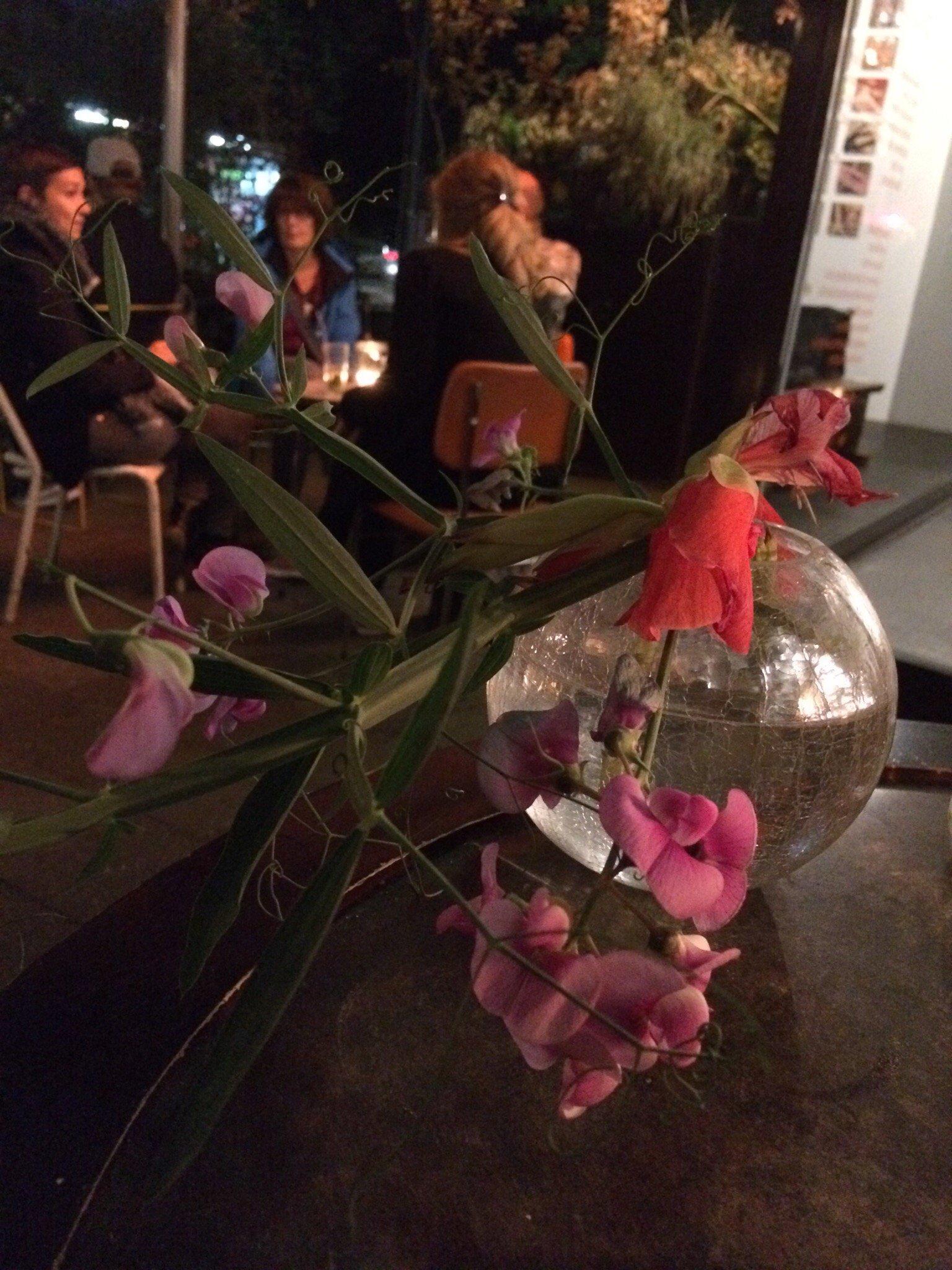 Photo by drkarinmanz