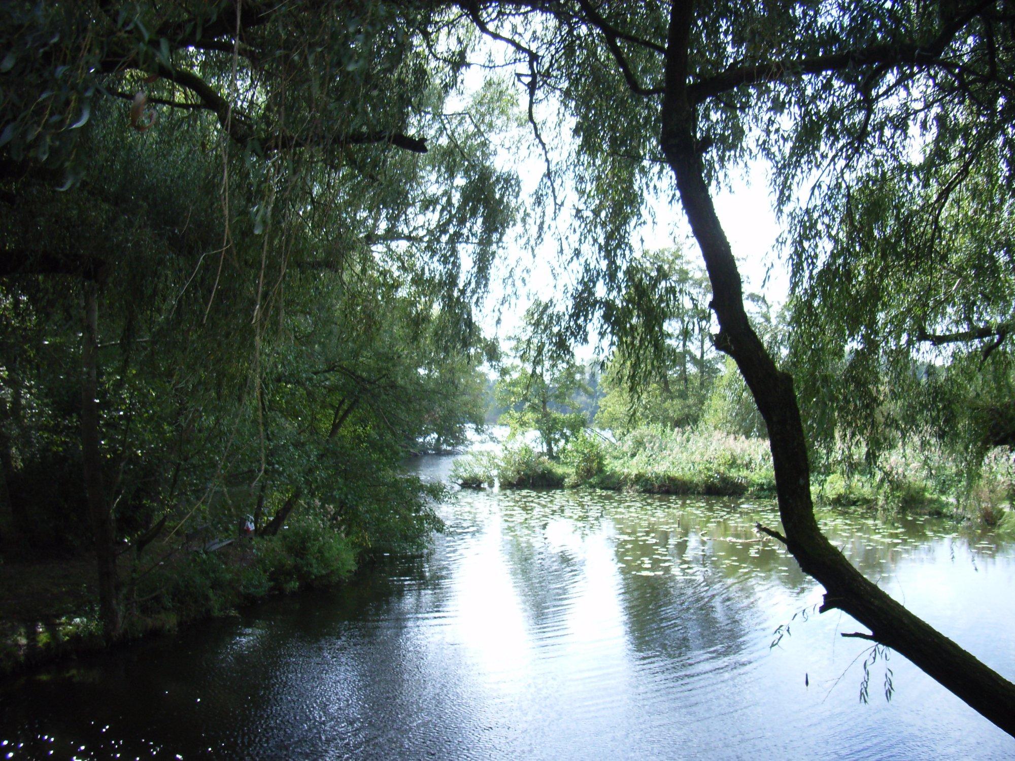 Biological Station Krickenbecker Seen