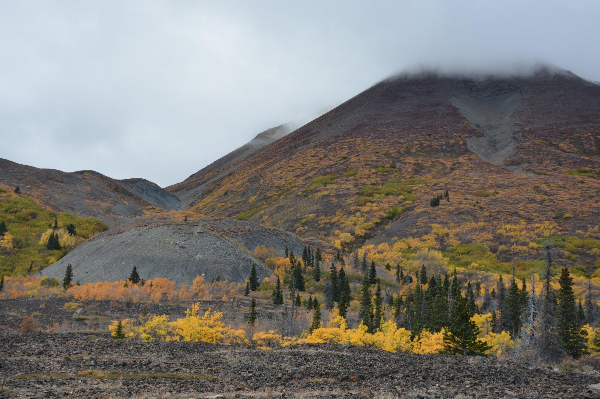 Rock Glacier Trail