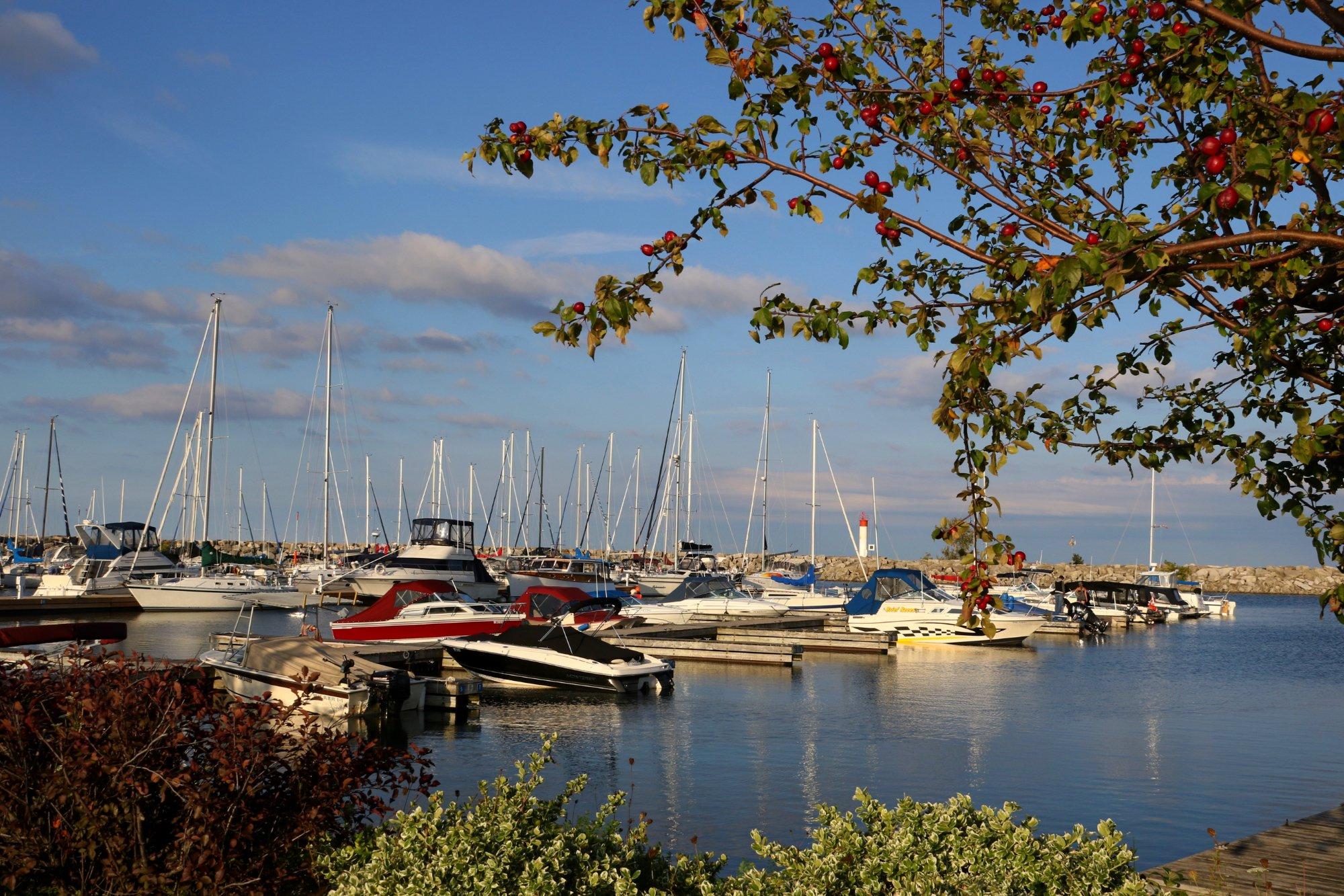 Meaford Harbour Marina