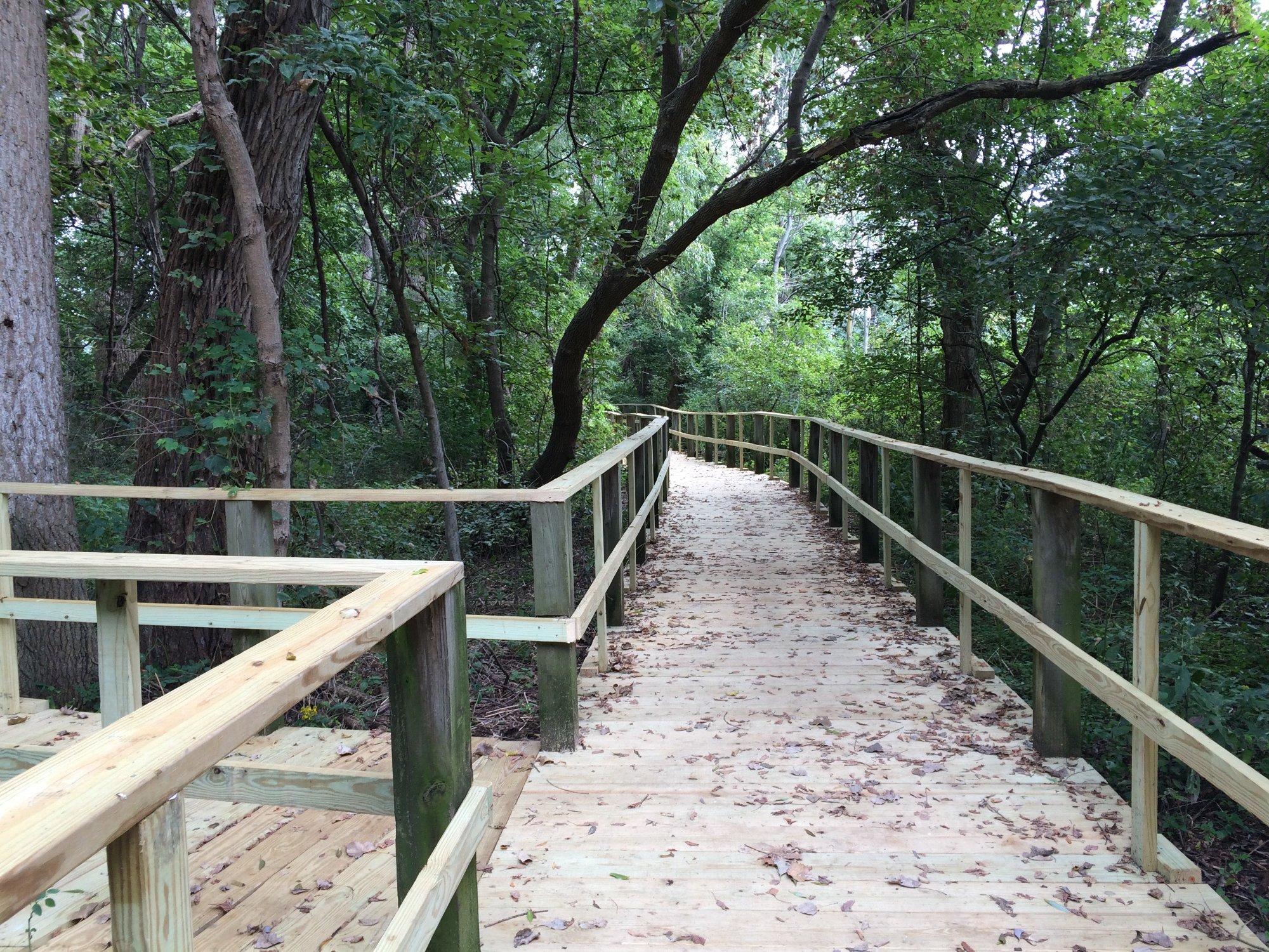 Black Swamp Bird Observatory