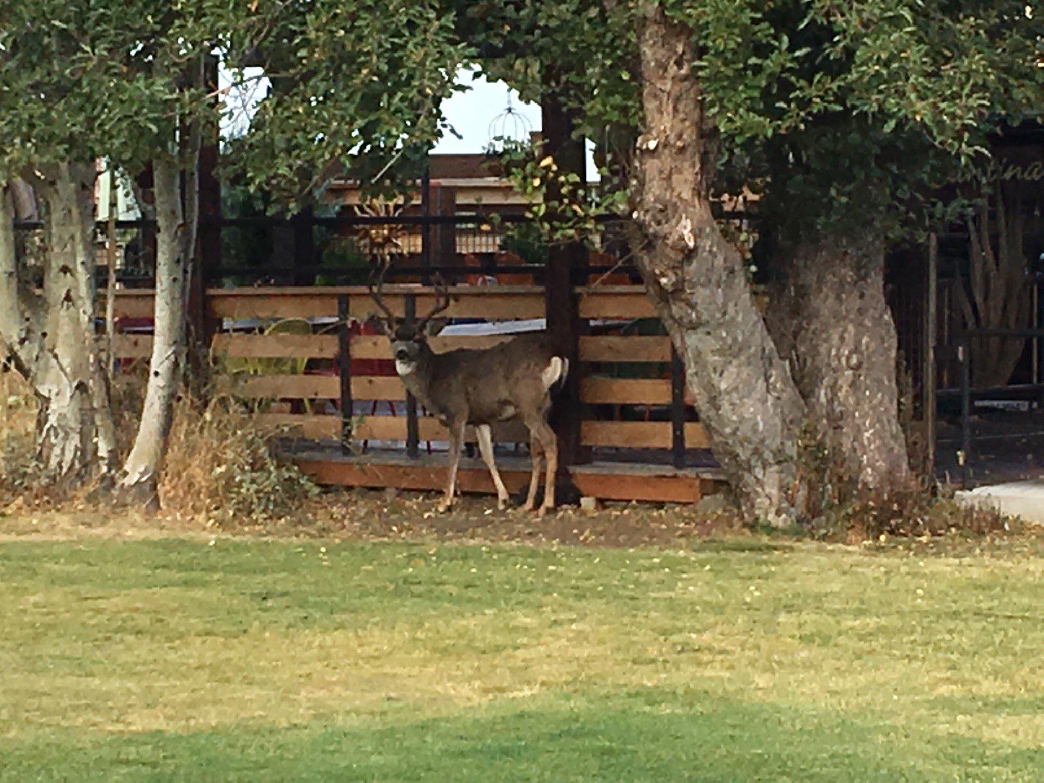 Photo by oregonmomma2