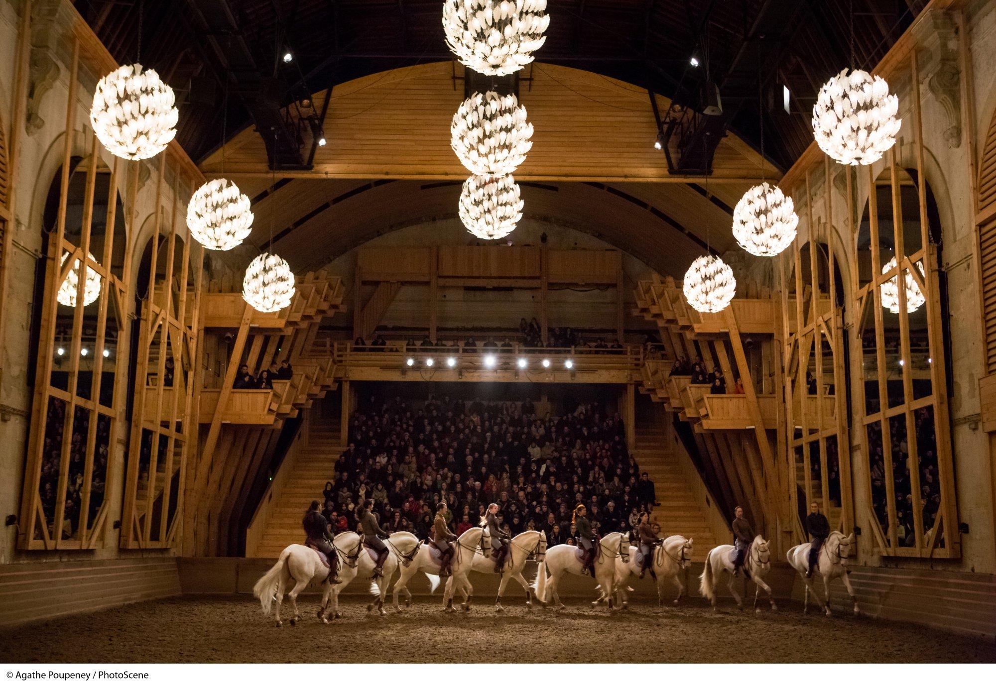 Académie Équestre de Versailles