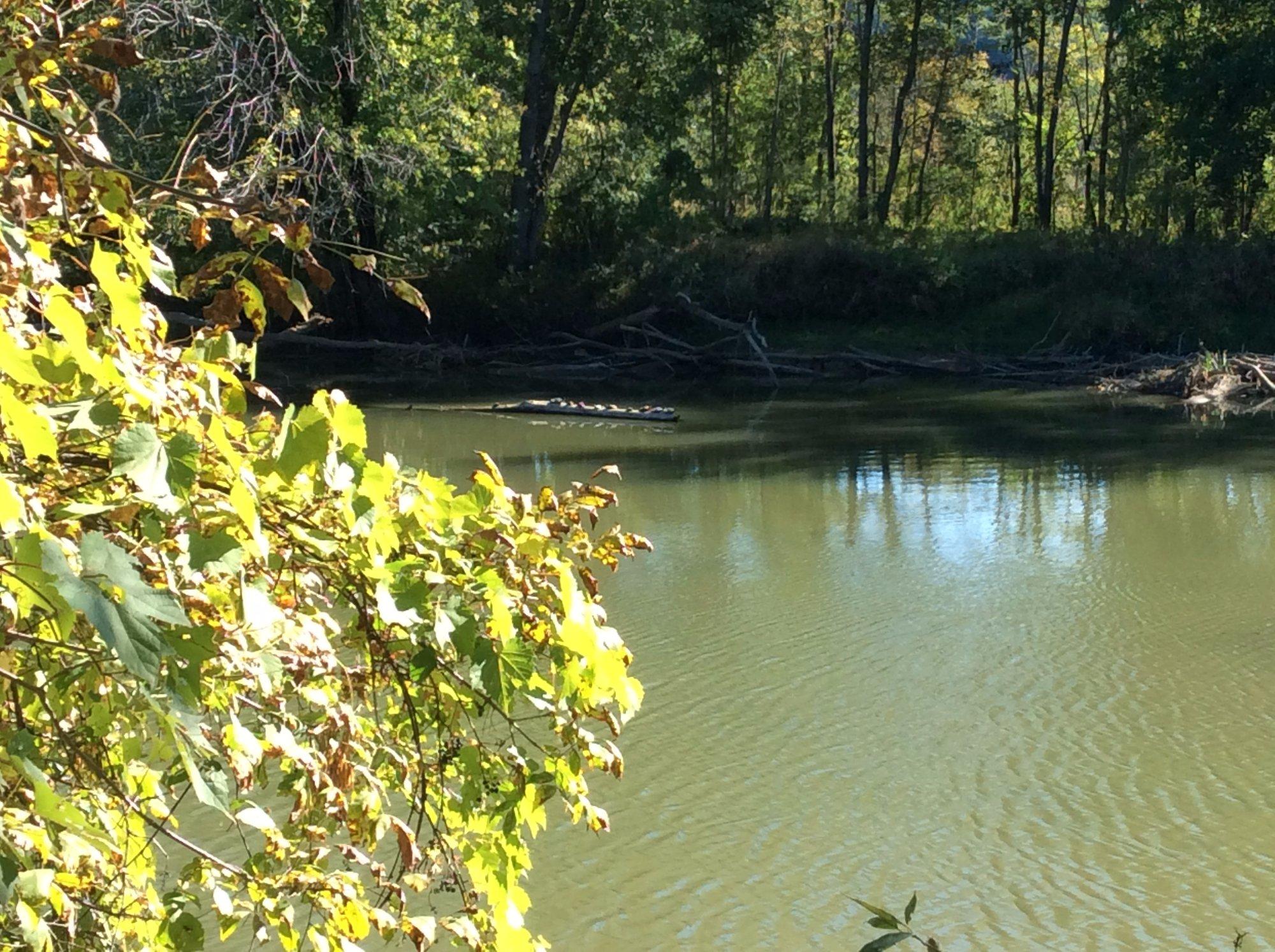 Photo by CSSnowshoer