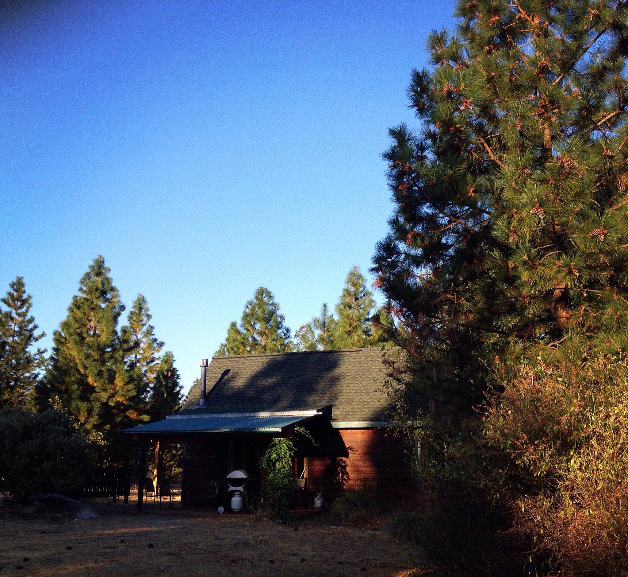 Photo by irish_captain