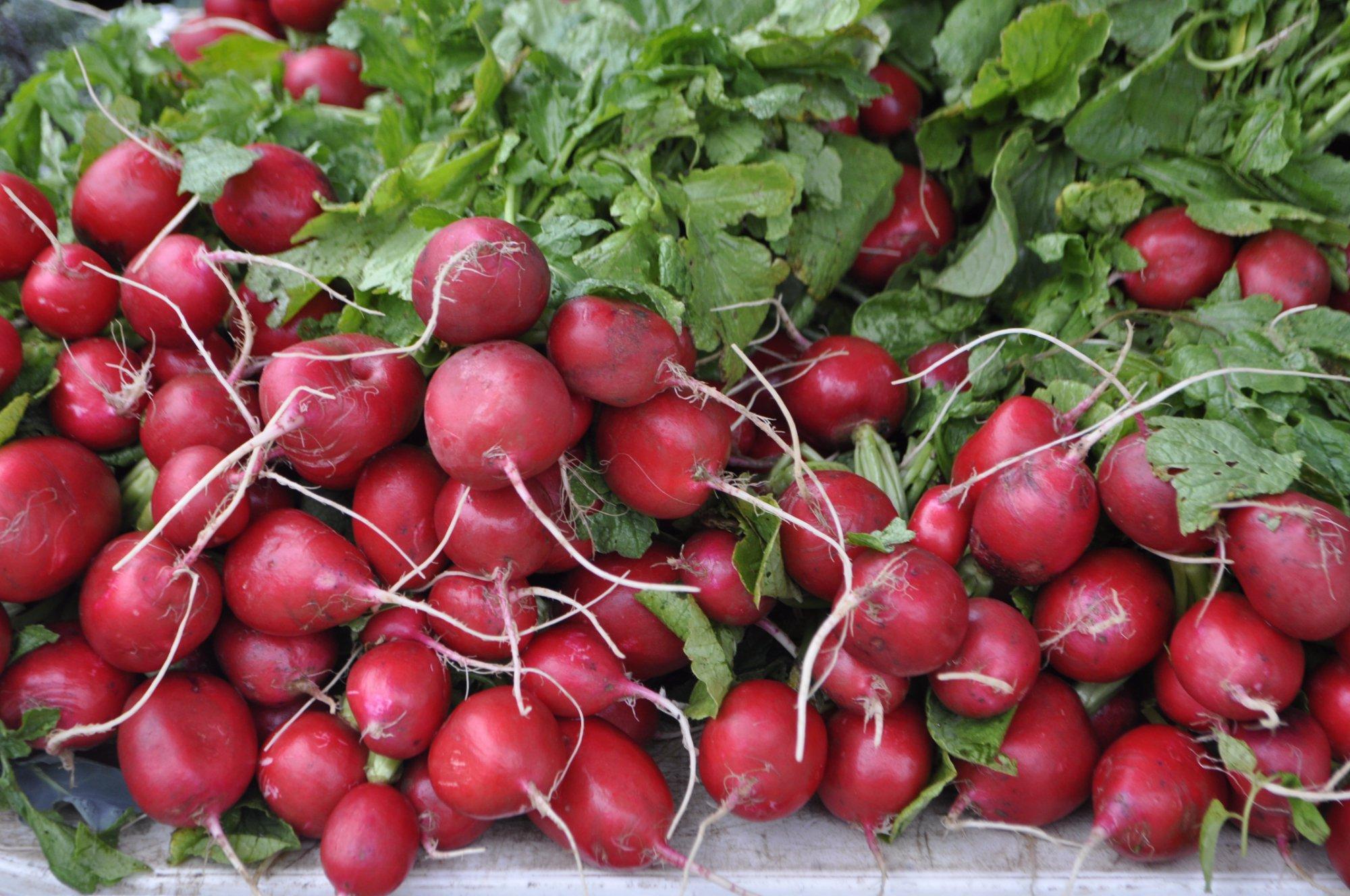 Golden Plains Farmer's Market