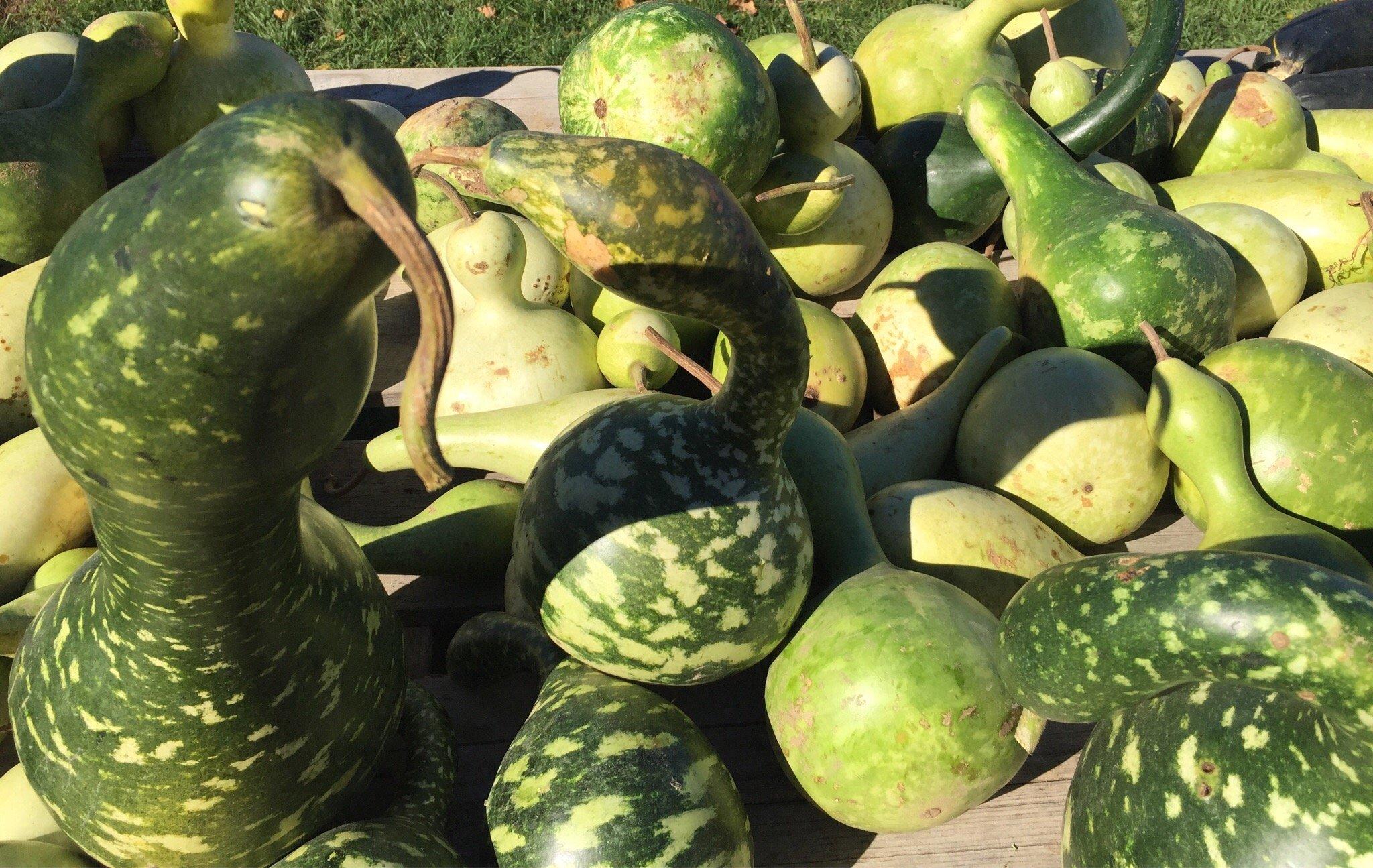 Miller's Farm, Market & Garden Centre