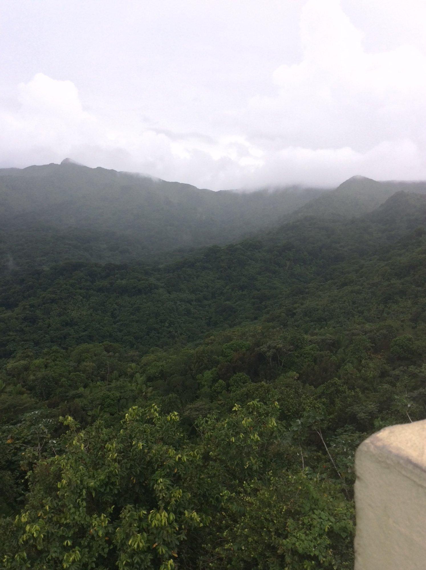 GSI - Group Services Inc.