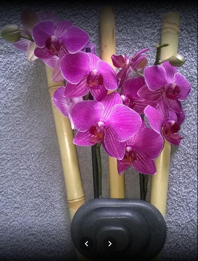 Bien-etre Zen et Sens