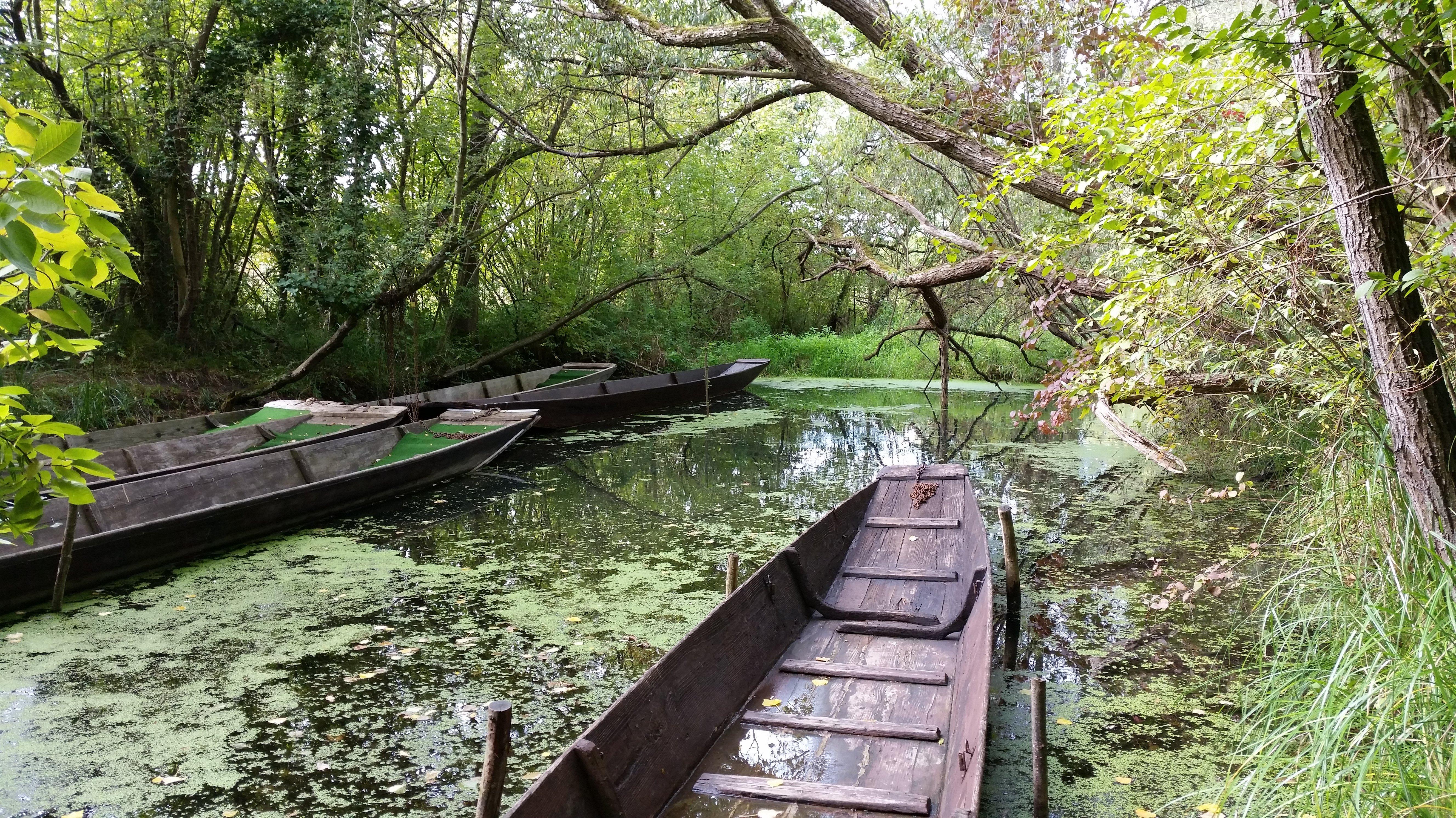 Bootsfahrten im Taubergießen