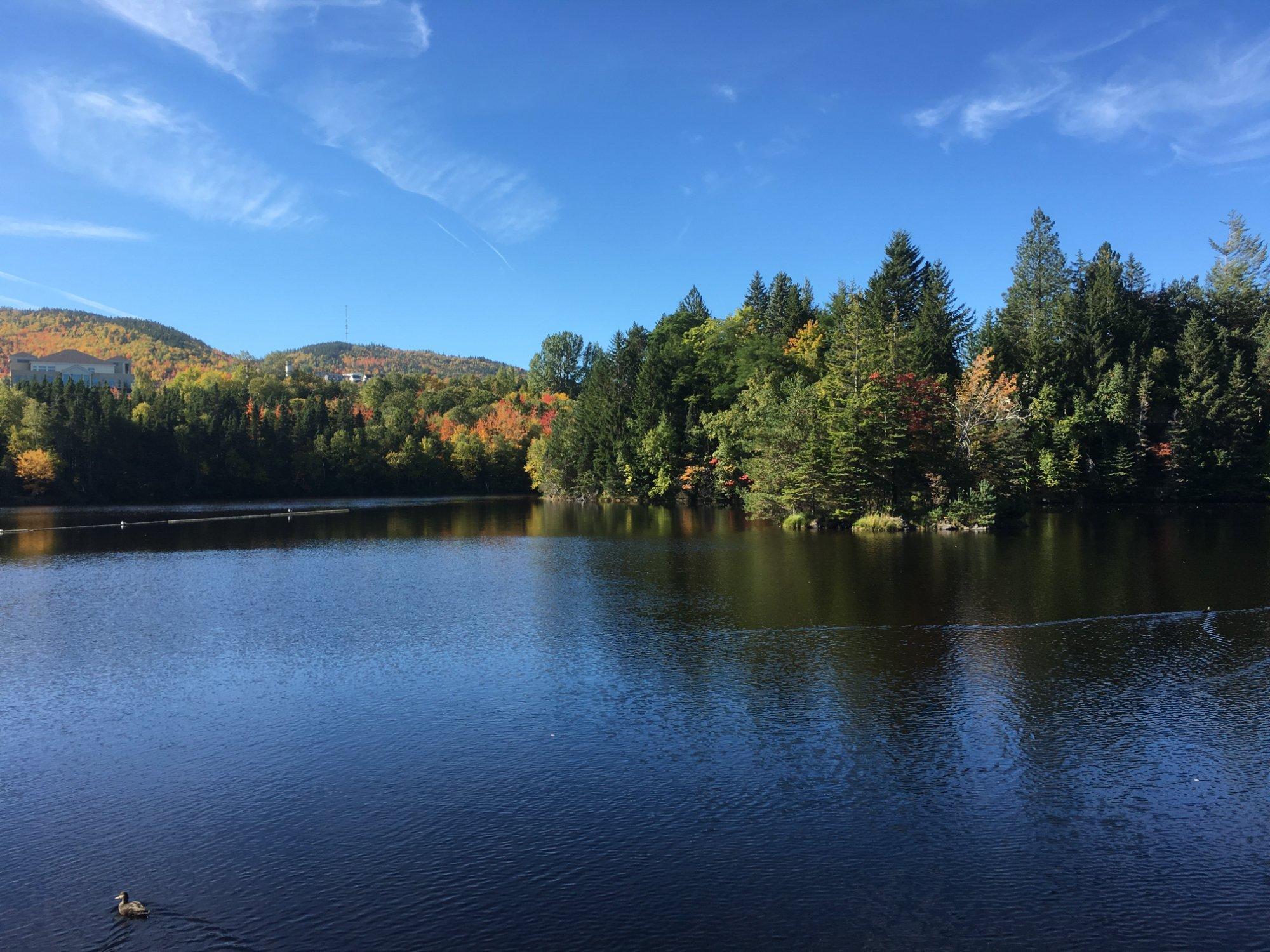 Corner Brook Stream Trail