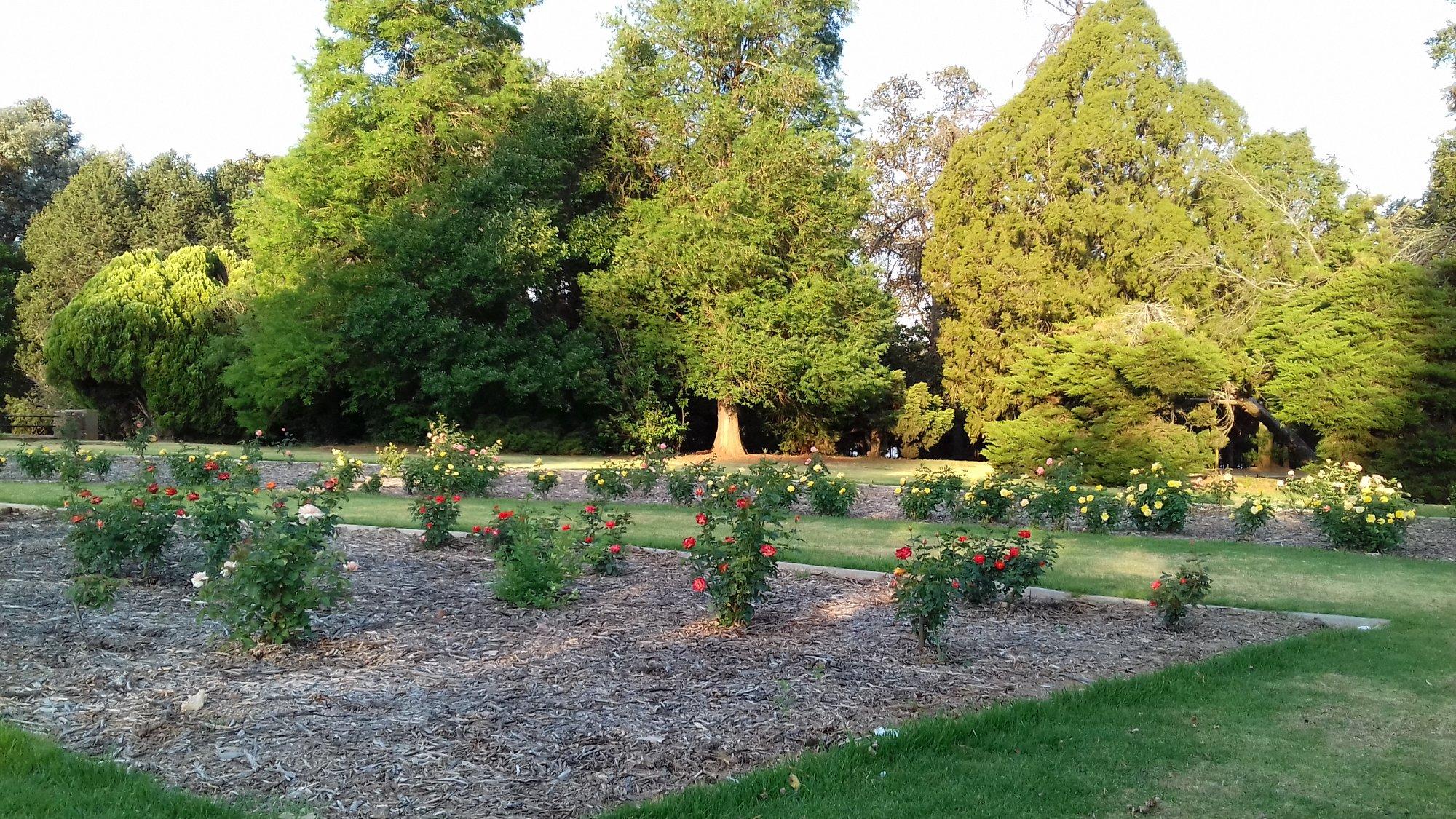 Johannesburg Botanical Garden