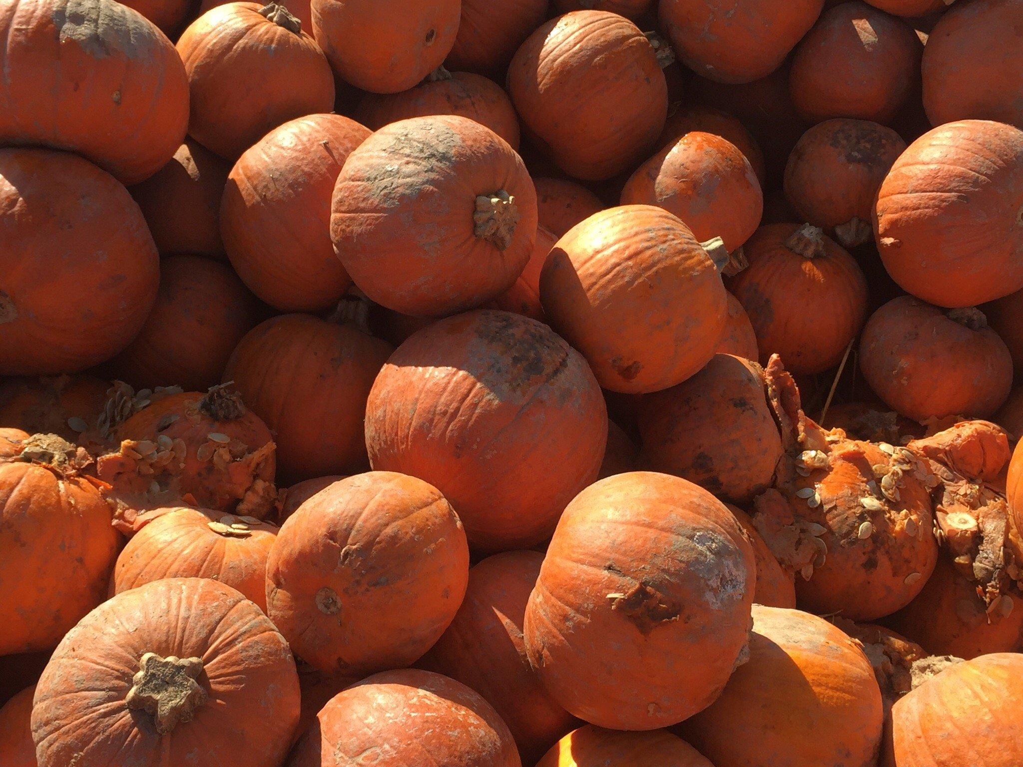 Photo by jenniferfO1231SZ