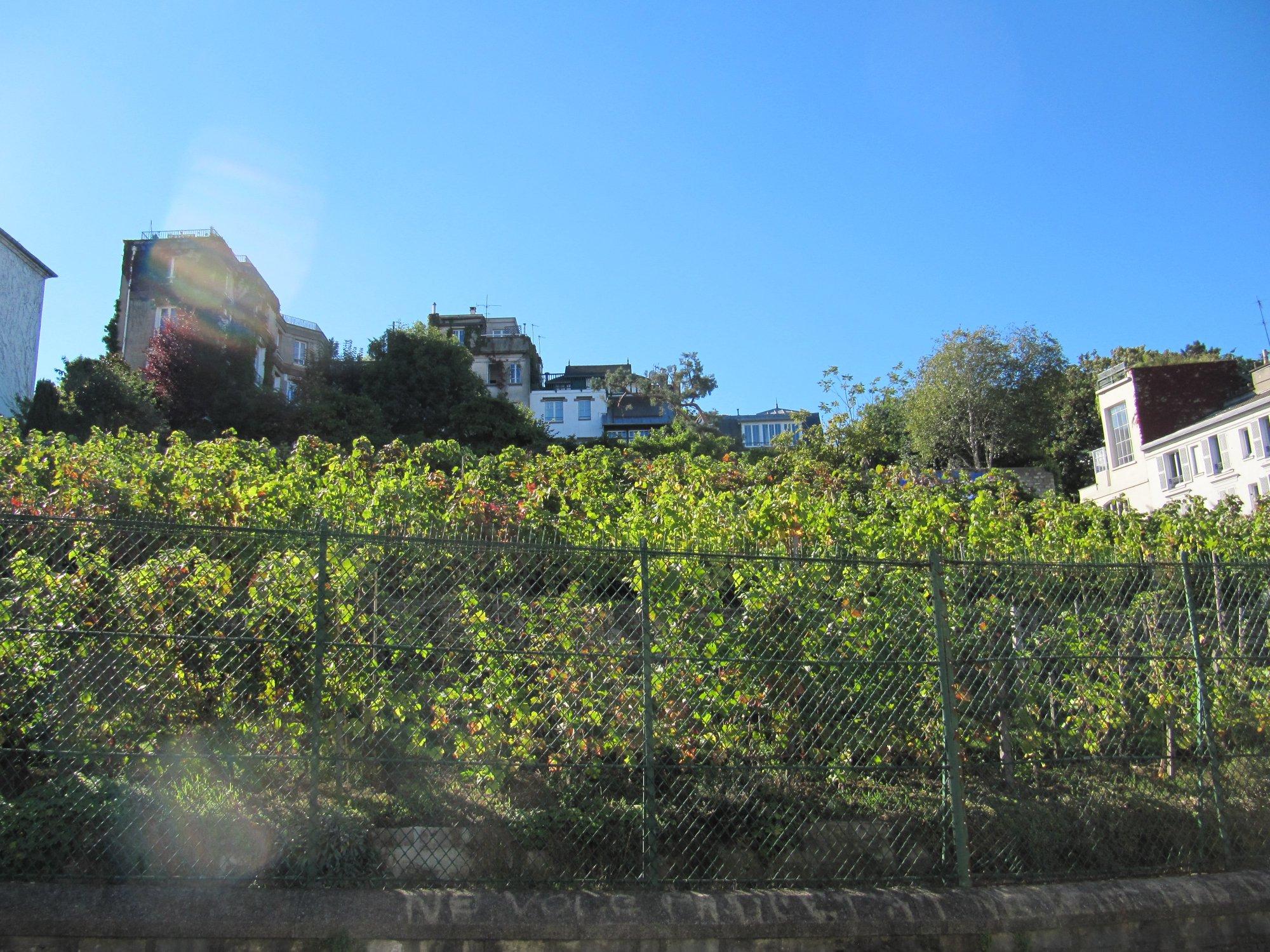 Jardin Sauvage de St-Vincent