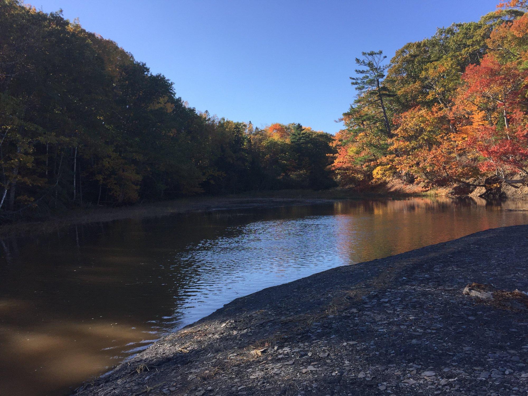 Blue Beach Fossil Museum