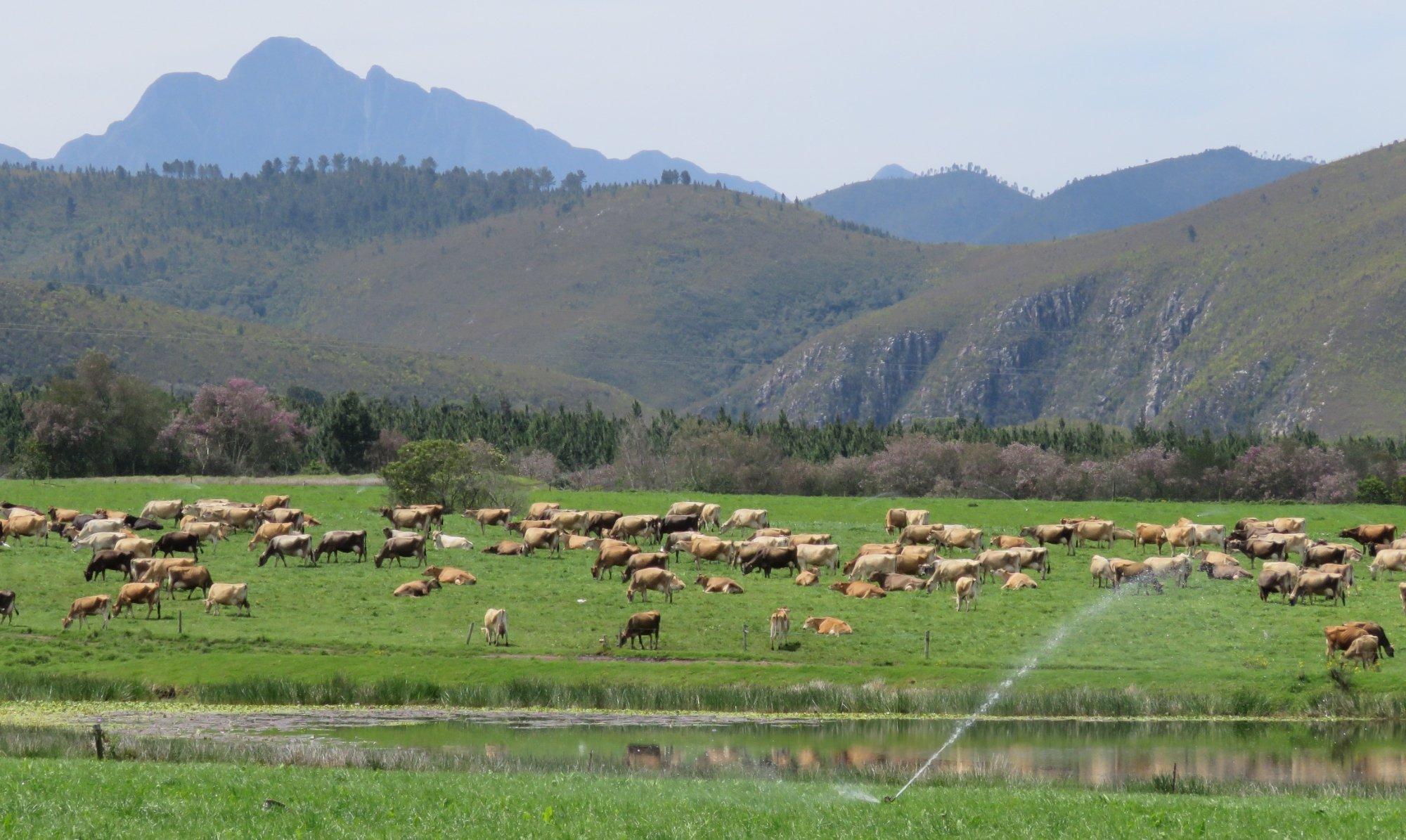 Natures Way Farm Stall