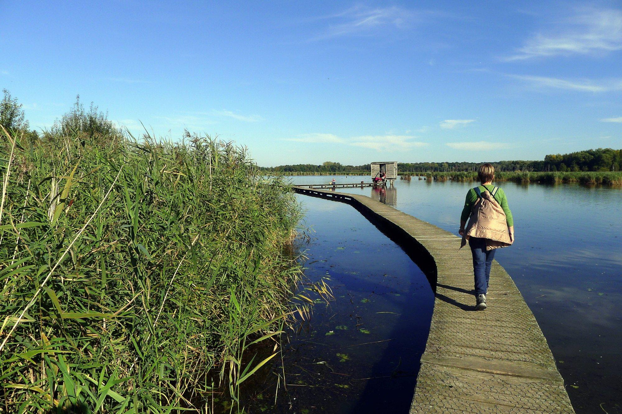 Provinciedomein Het Vinne Zoutleeuw