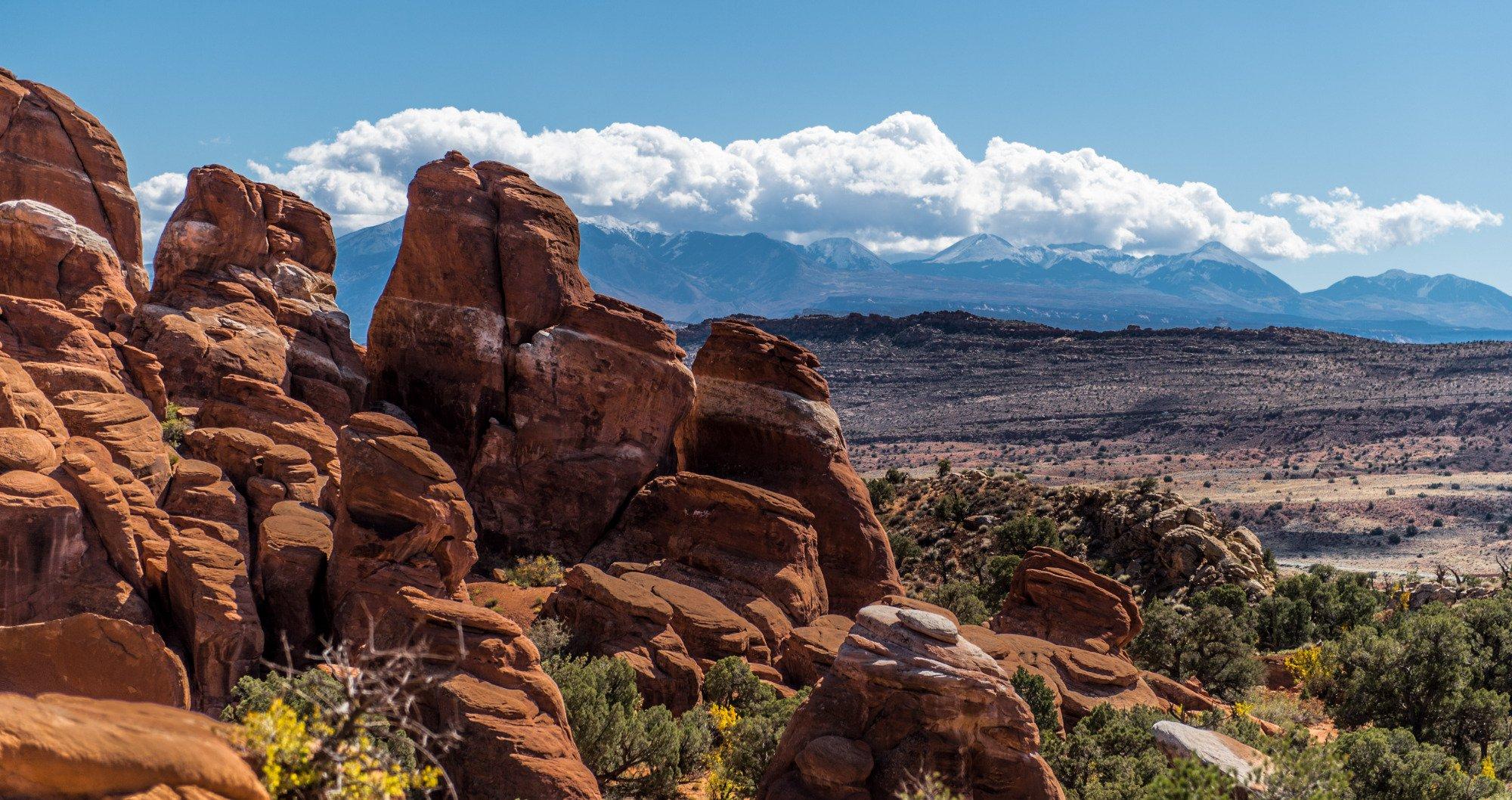 Plateau Restoration Day Trips