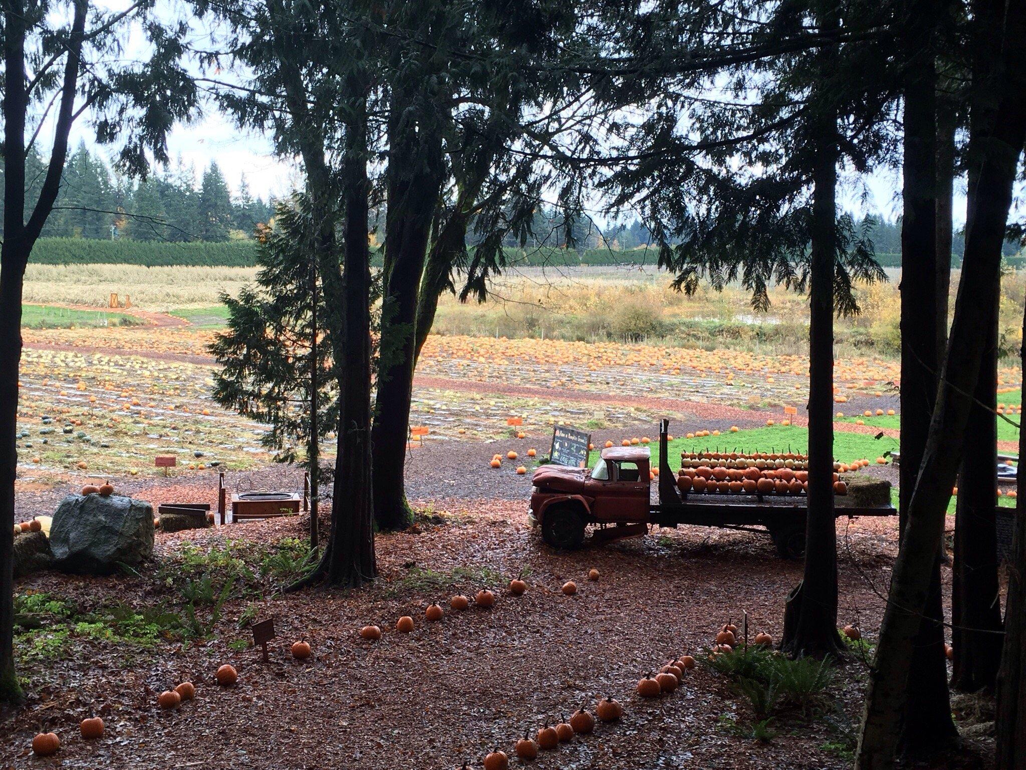 Coastal Black Estate Winery