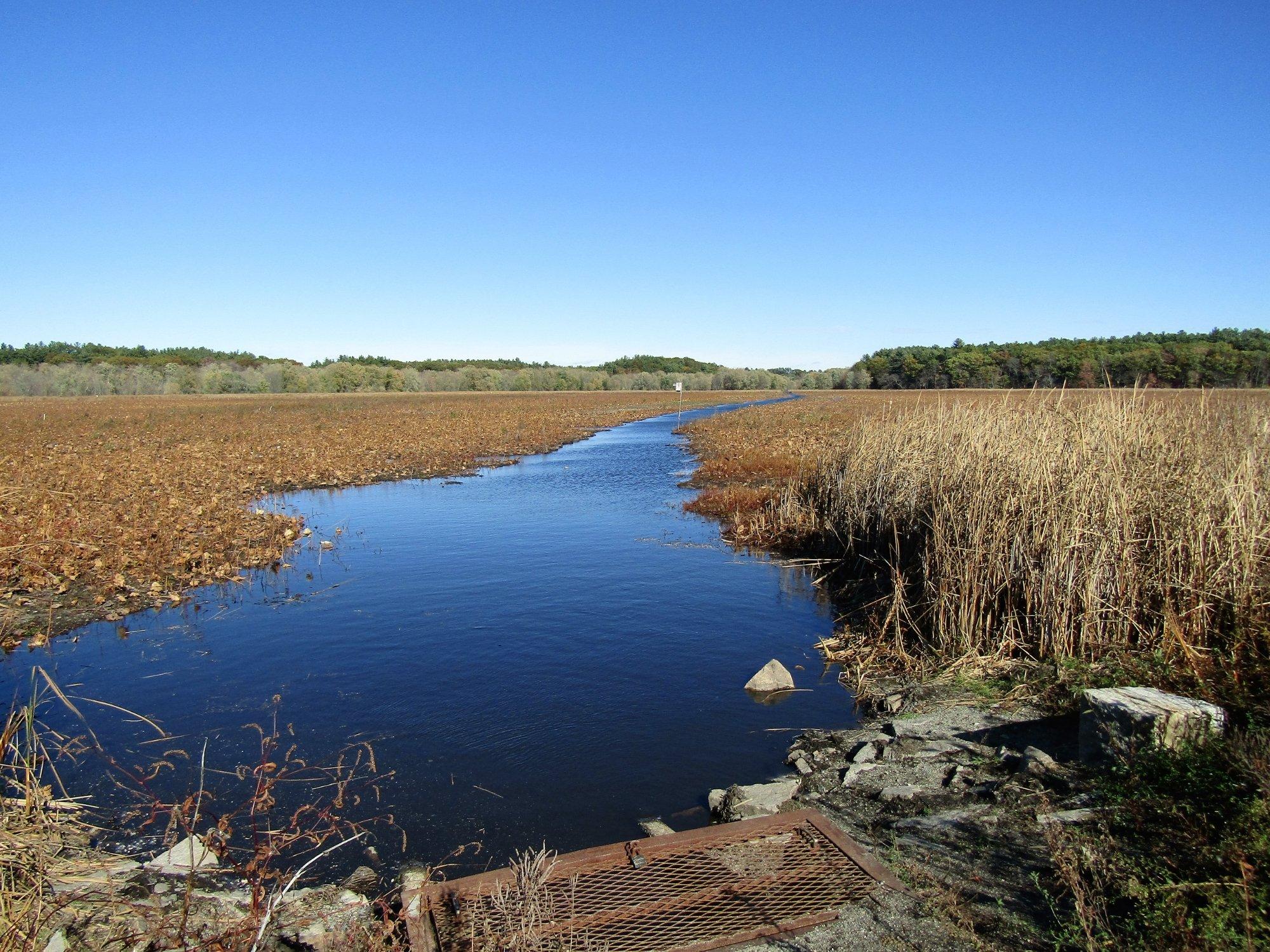 Great Meadows National Wildlife Refuge