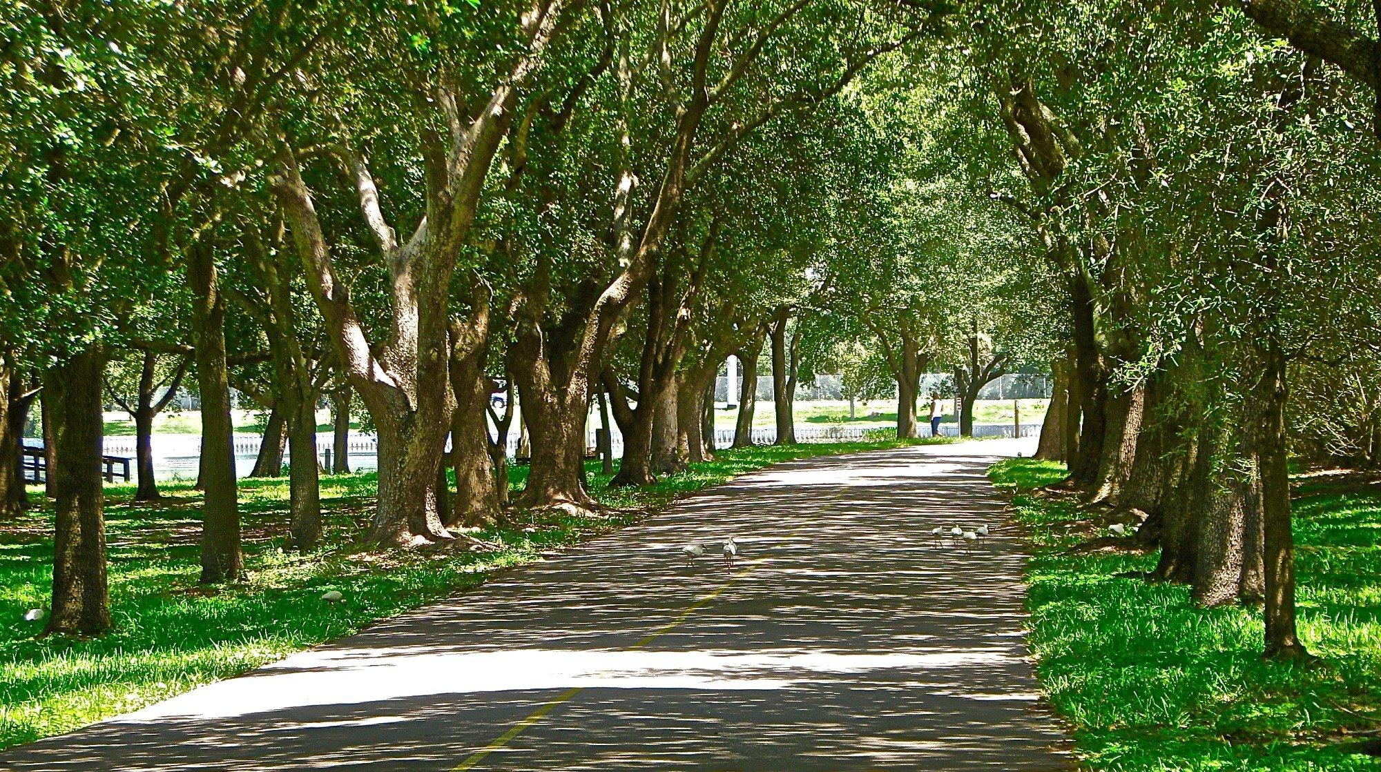 John S Taylor Park