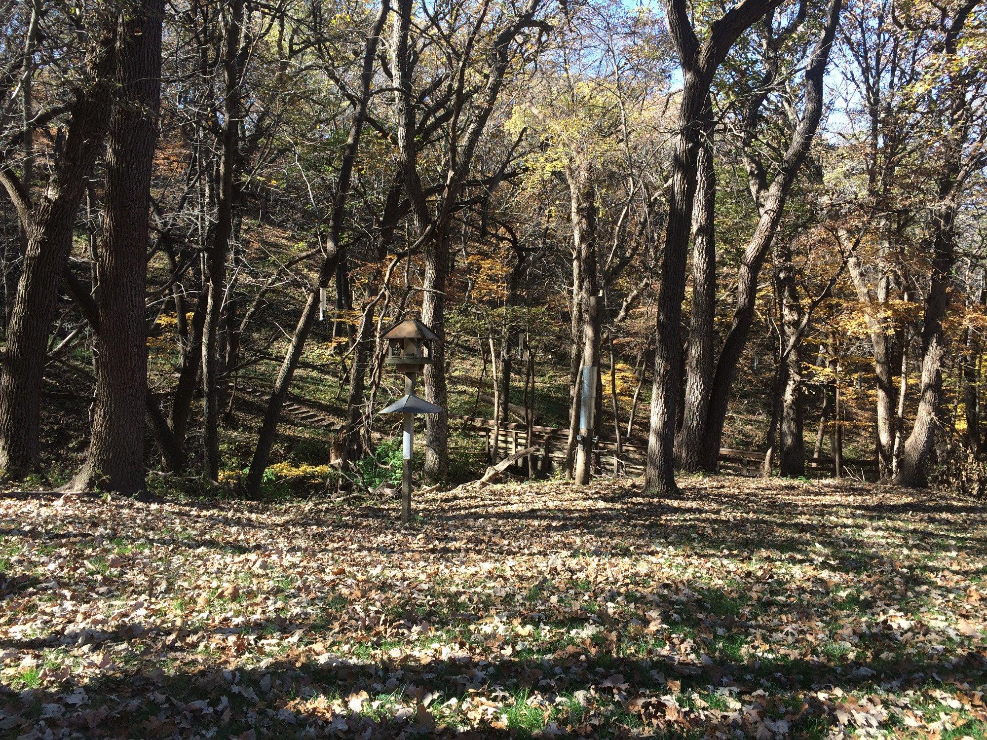 Dorothy Pecaut Nature Center