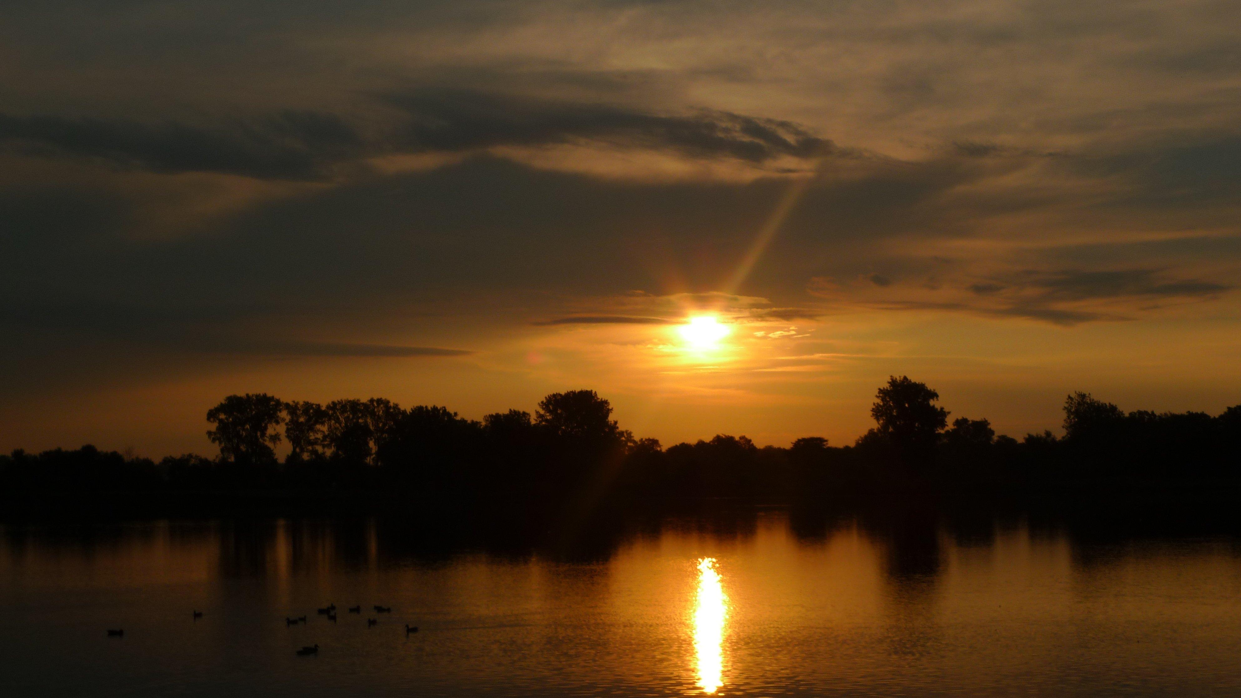 Photo by virginiamay