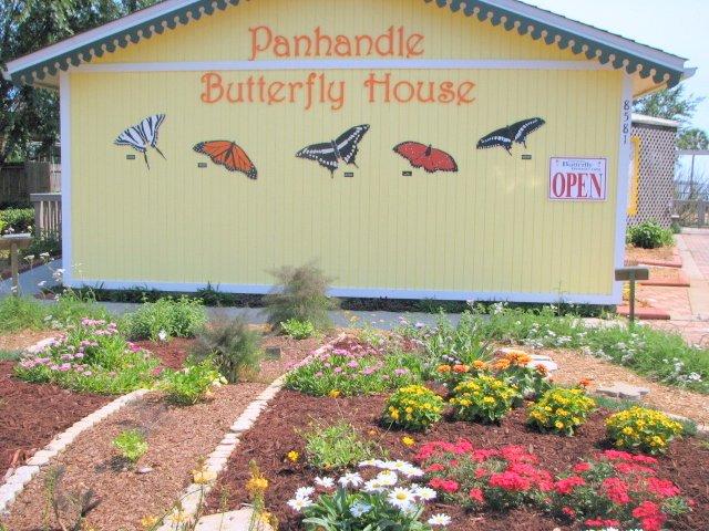 The Panhandle Butterfly House and Nature Center