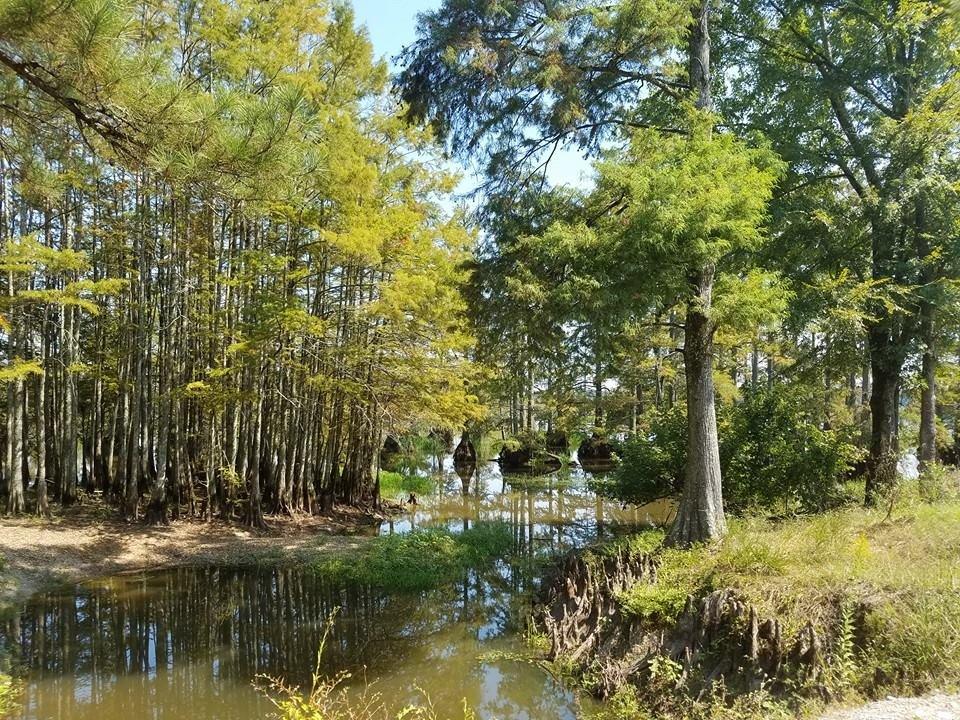 Noxubee National Wildlife Refuge