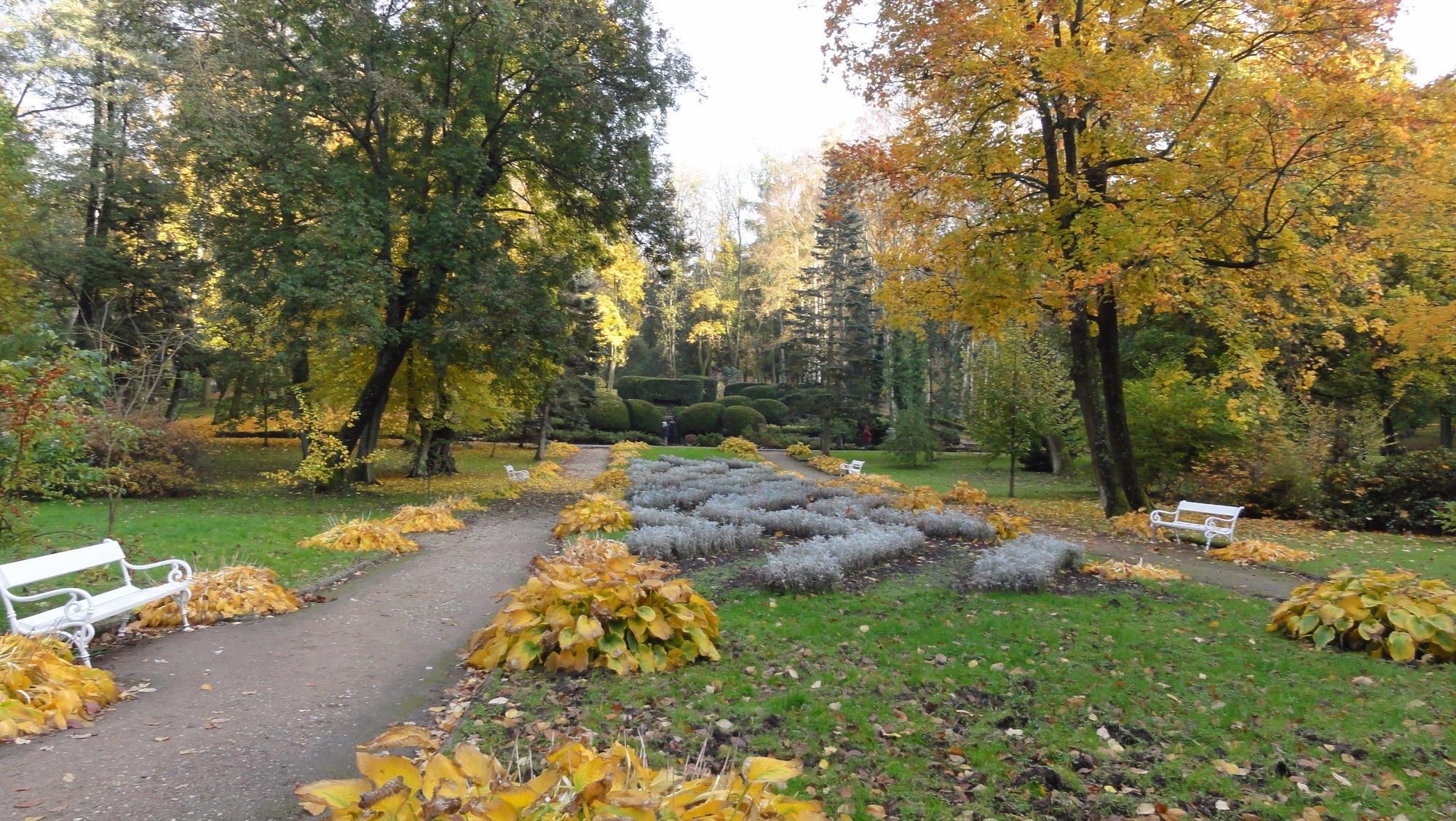 Park Zdrojowy