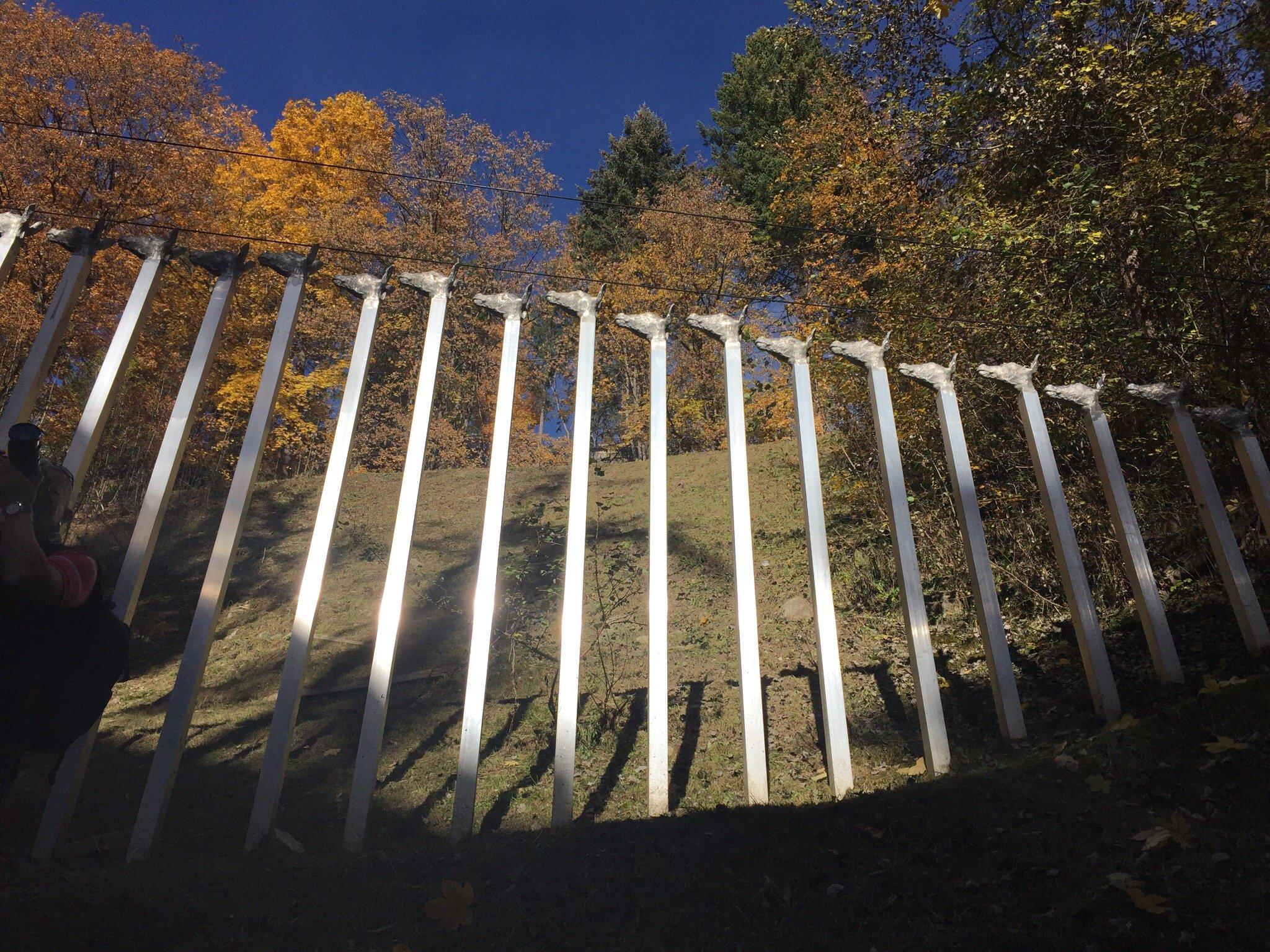 Not Vital + Parkin Sent