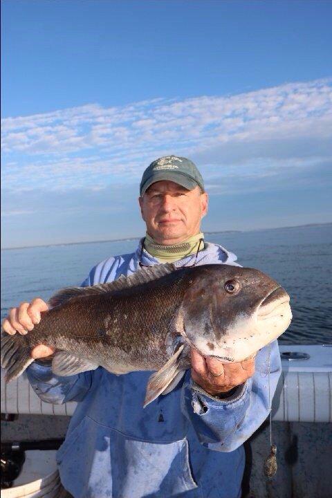 Little Sister Charters