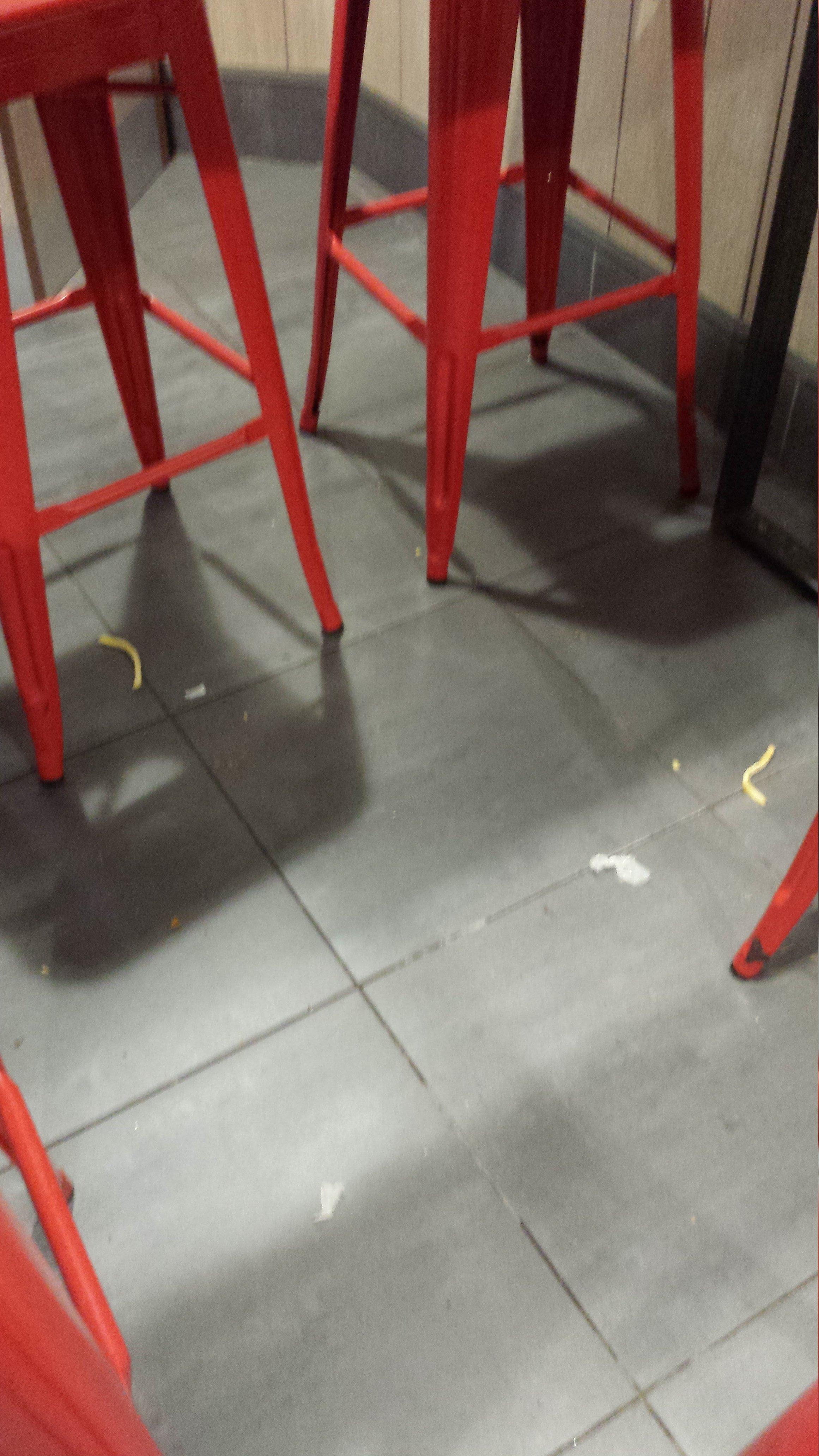 Photo by Tracy Joan H