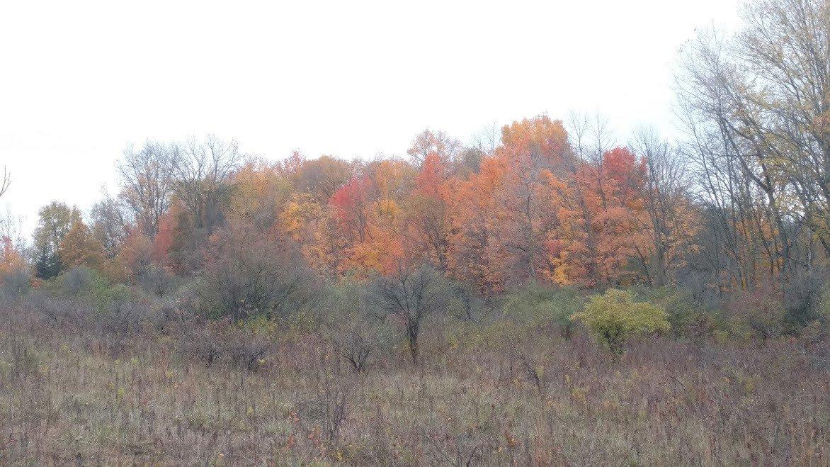 Photo by andrewfH6747VI