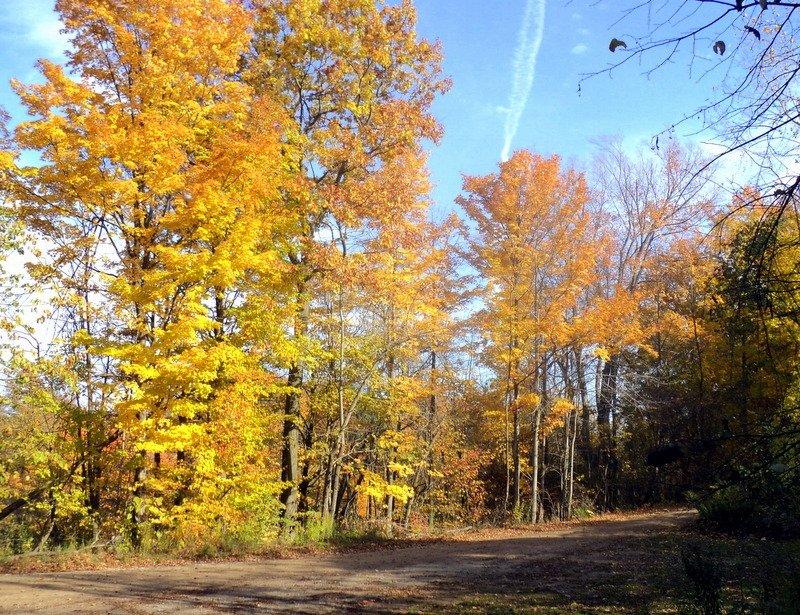 Highland Glen Conservation Area