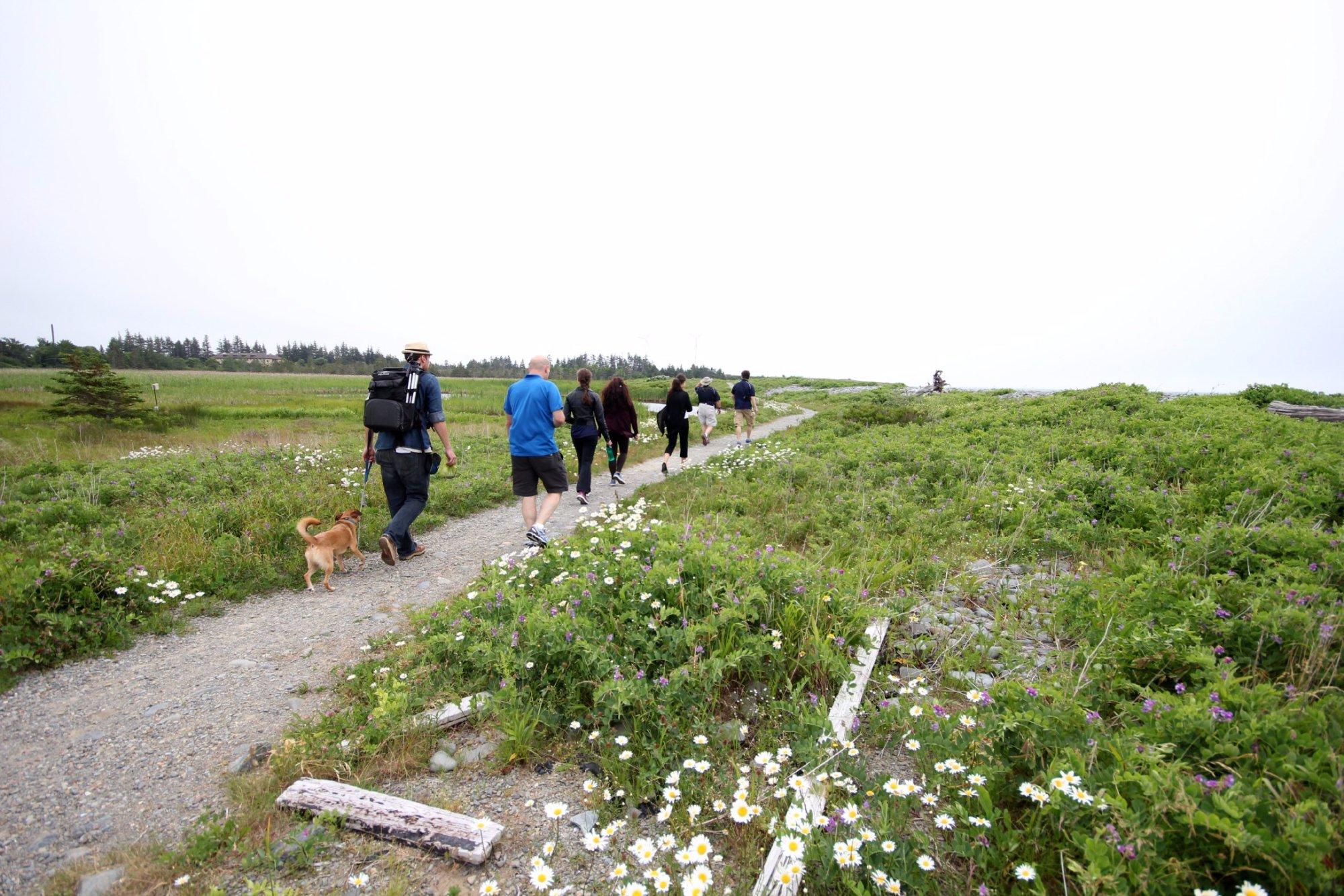 Le Petit Bois Guided Walks