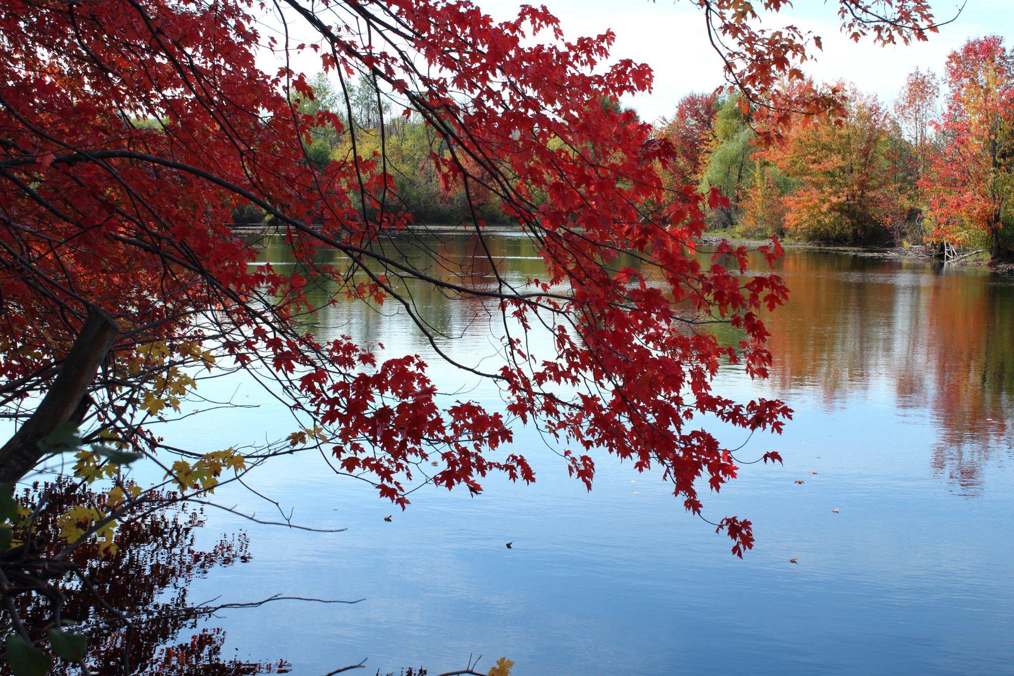 Photo by aspasiabissas