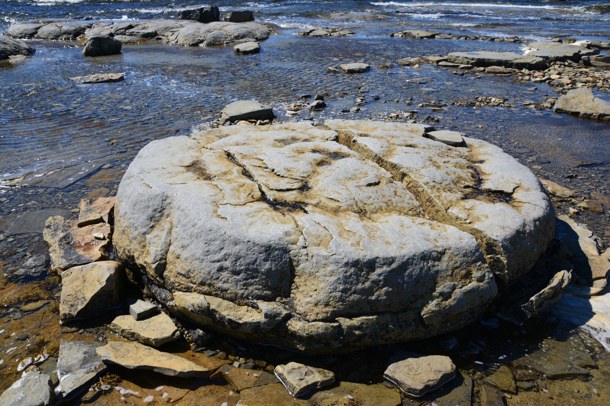 Thrombolites Walking Trail