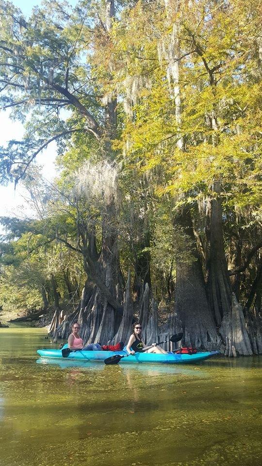 Honey Island Kayak Tours LLC