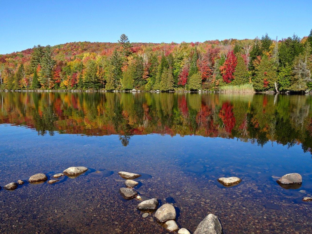 Ricker Pond State Park
