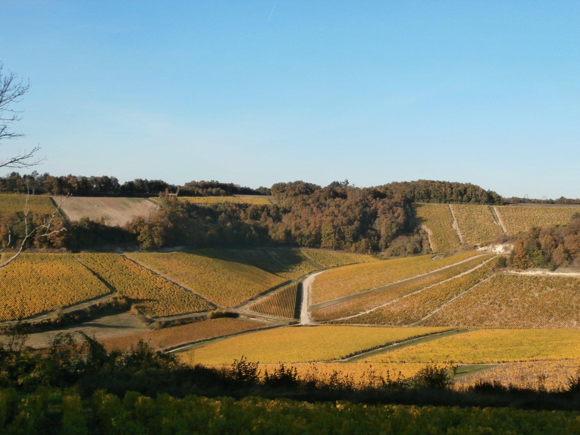 Le Caveau de Chablis
