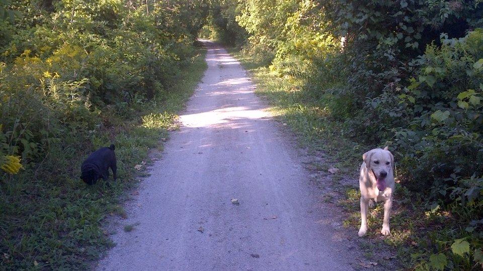 Saugeen Rail Trail