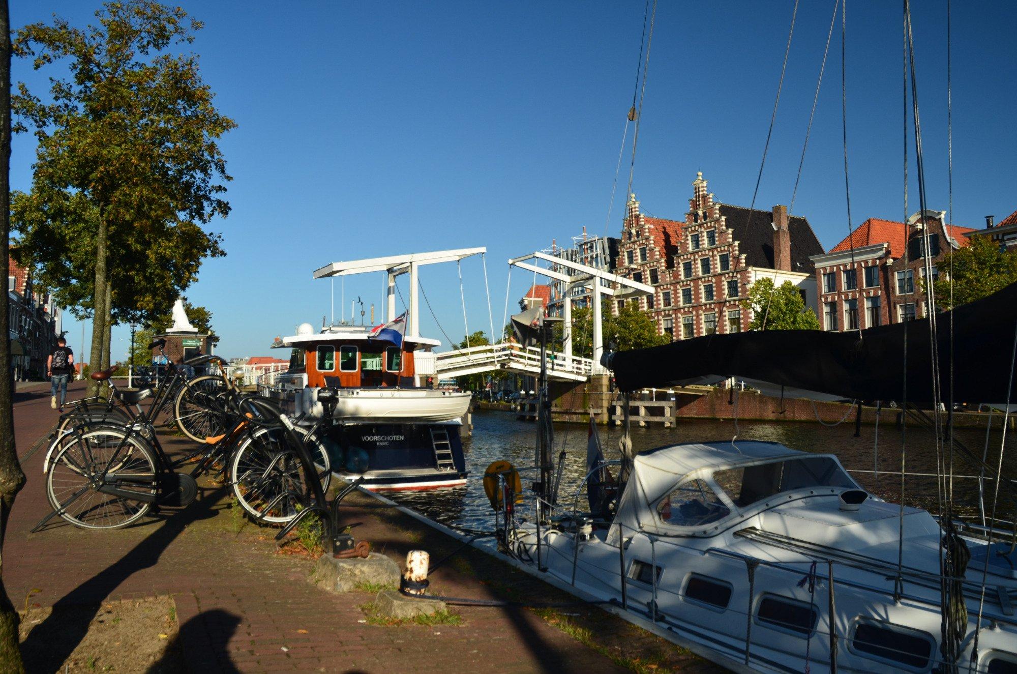 The Wolfhound Irish Bar & Kitchen