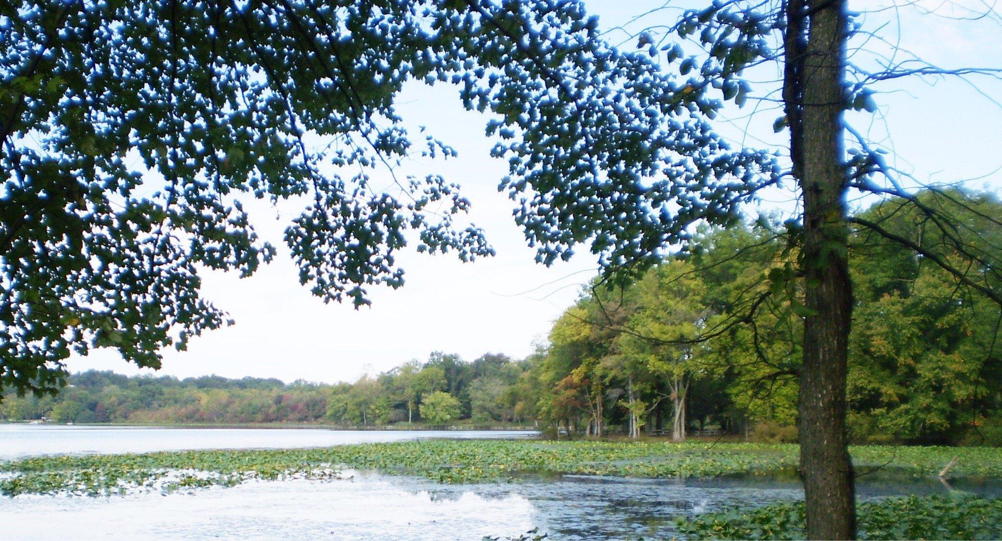 Rockland Lake State Park