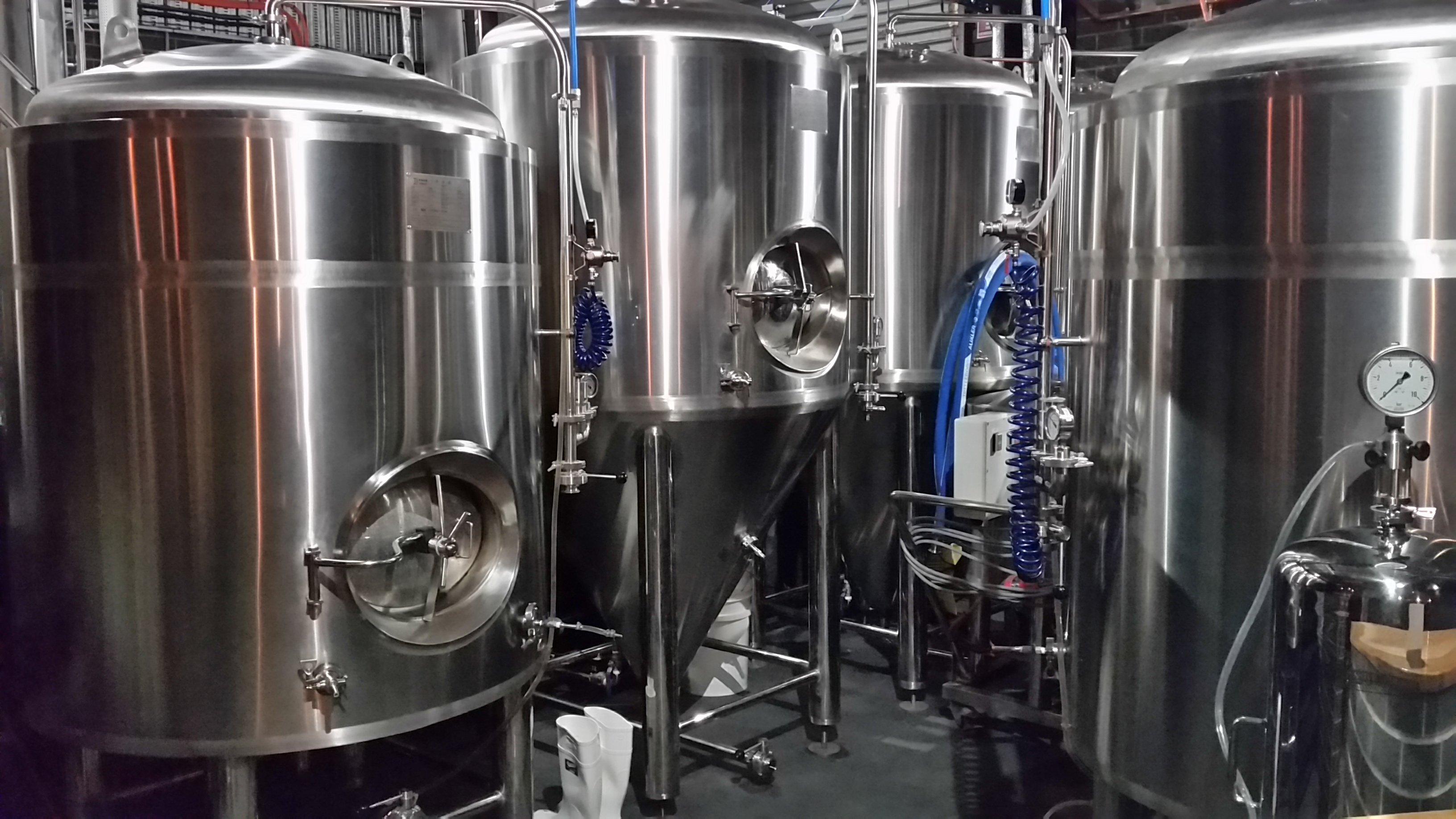 T Bone Brewing Company